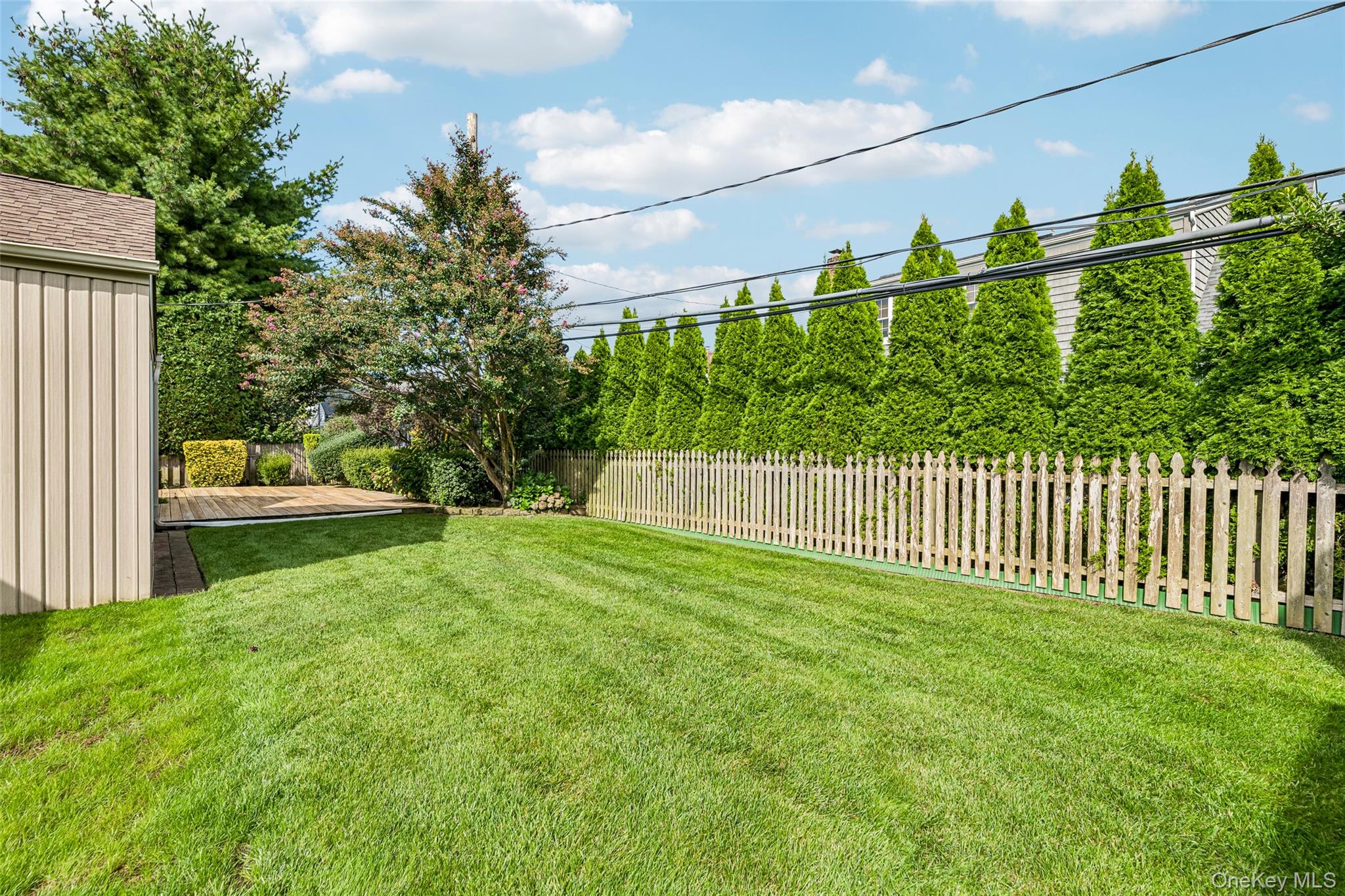 37 Linden Street Property Photo 30