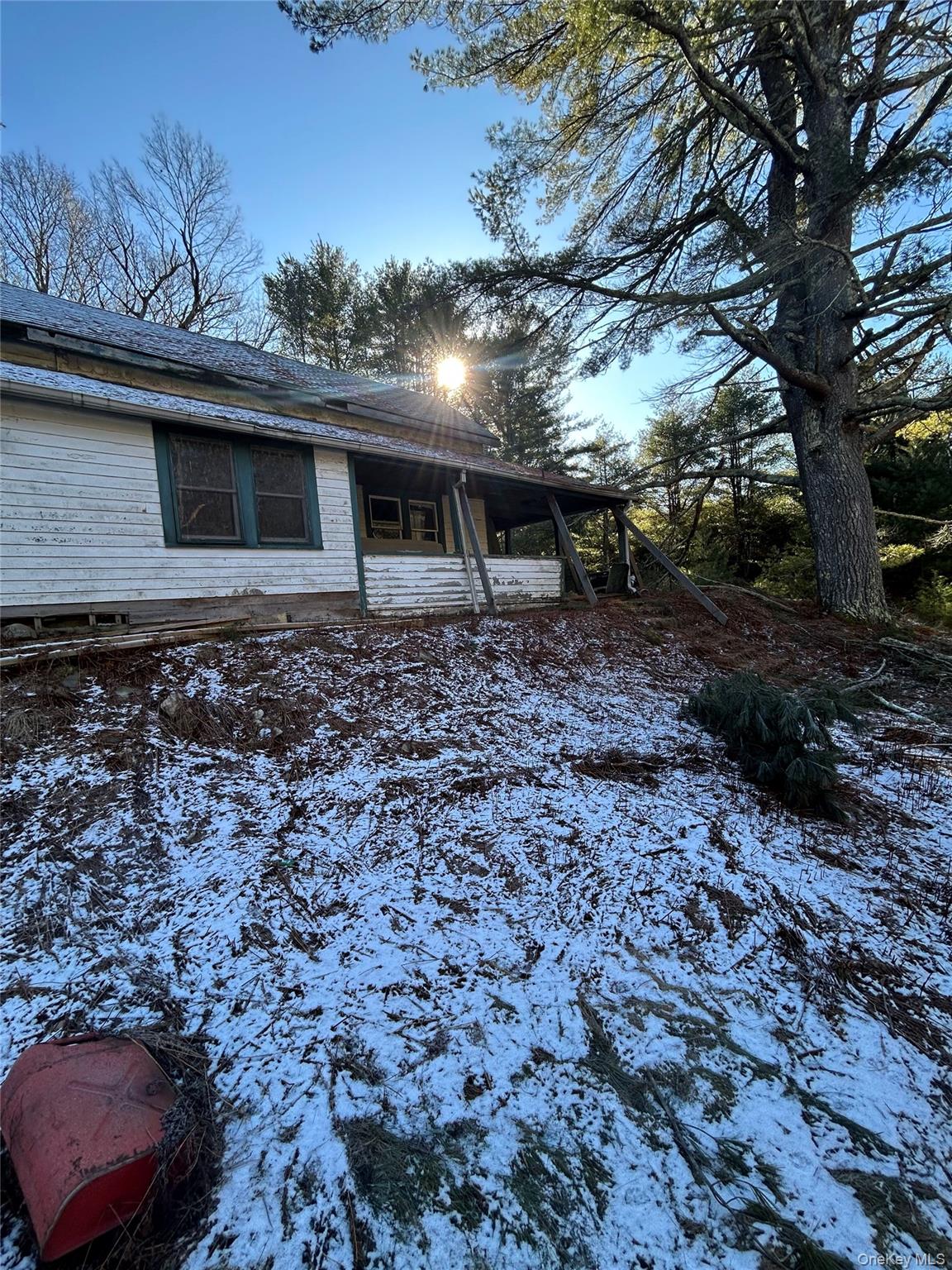 92 Whitehead Road Property Photo 6