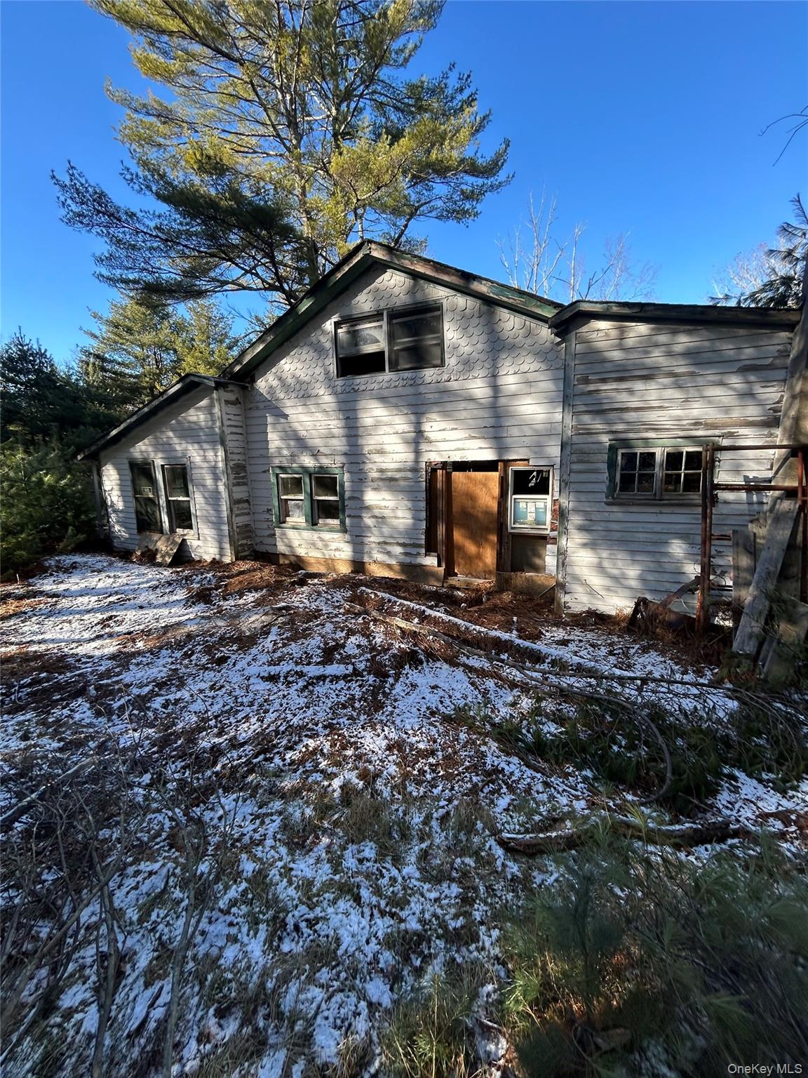 92 Whitehead Road Property Photo 7