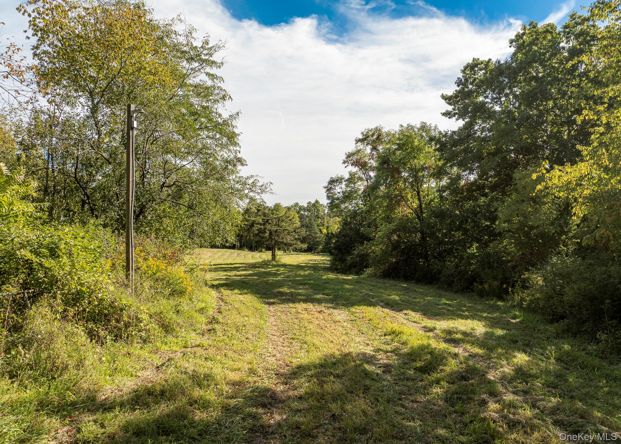 544 Willow Brook Road Property Photo 24