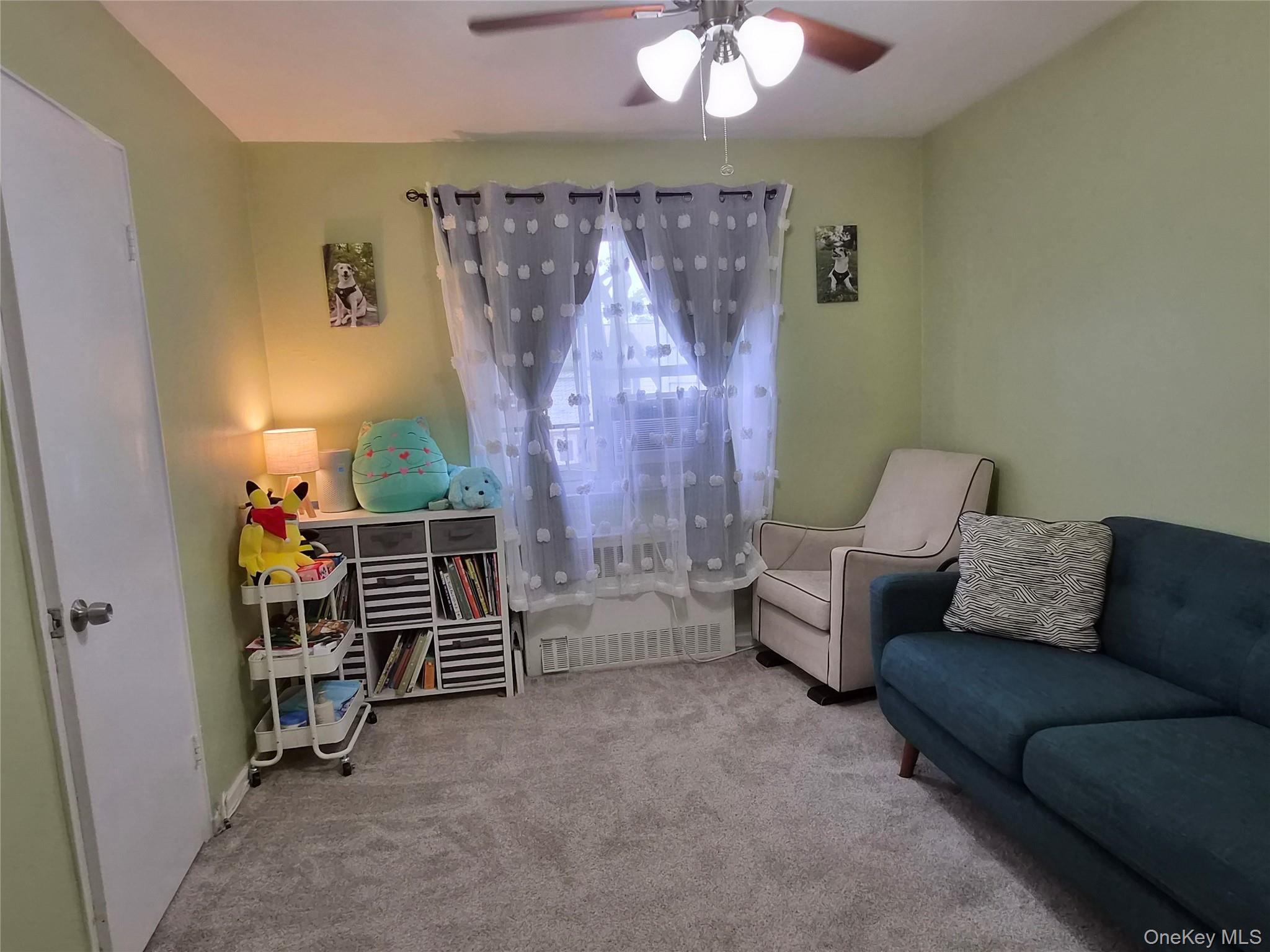 227-08 Hillside Avenue Upper Property Photo 40