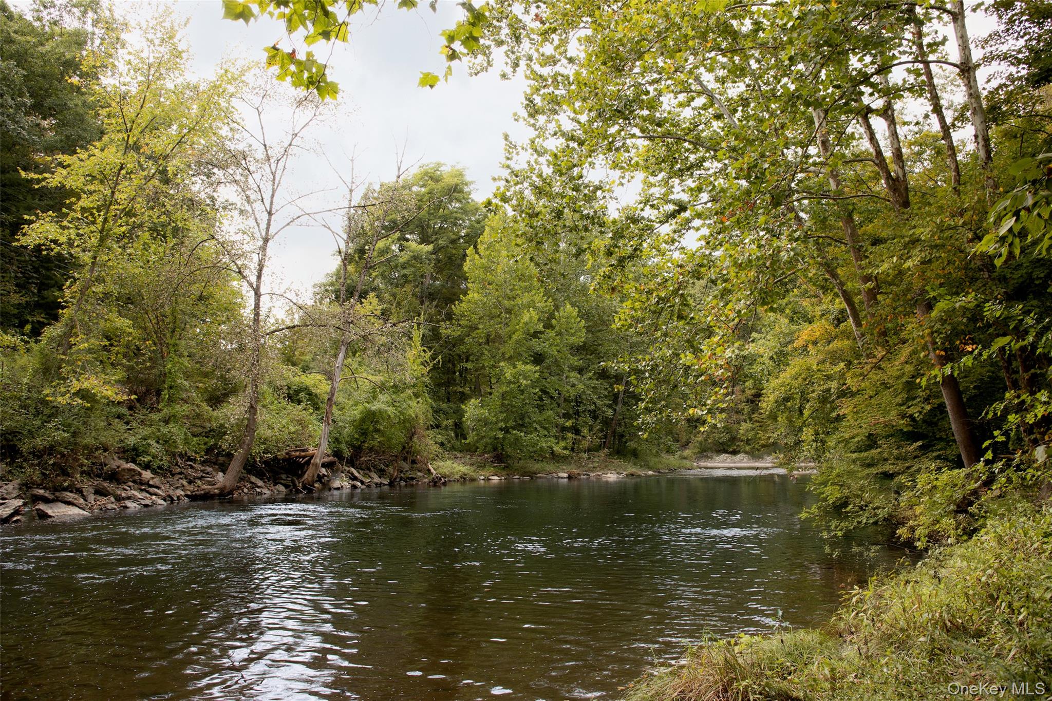 16 Bachus Road Property Photo 49