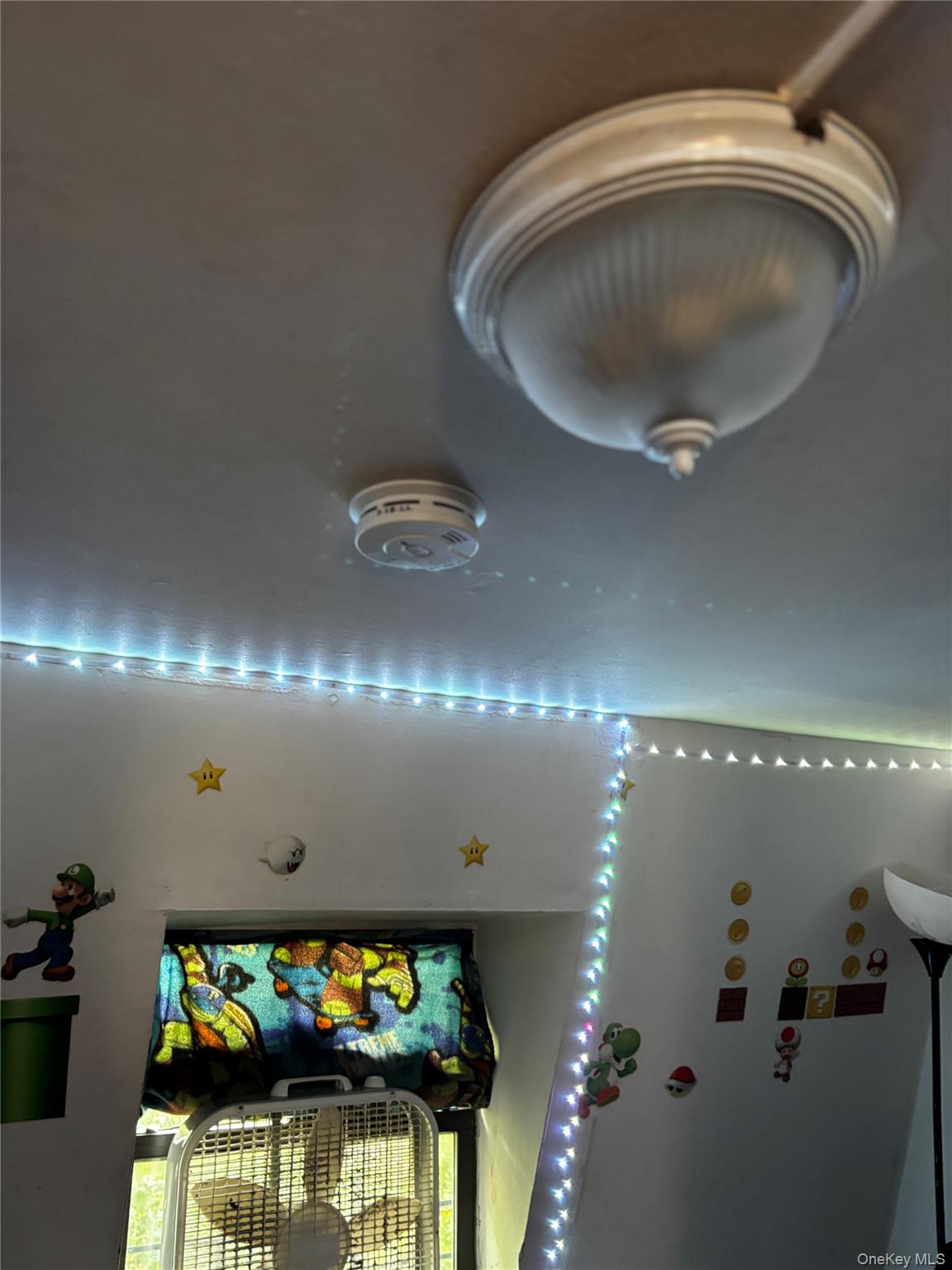 120 Smith Street Property Photo 19