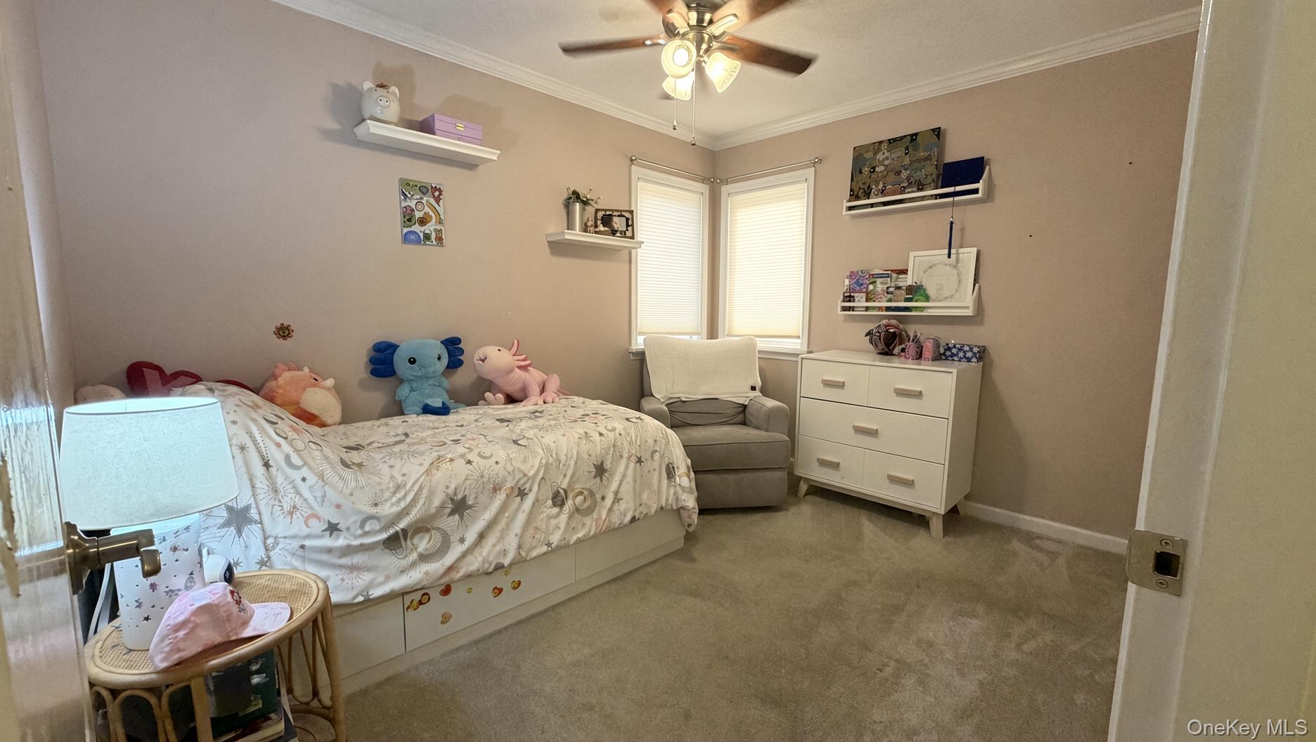 11 Lois Lane Property Photo 7