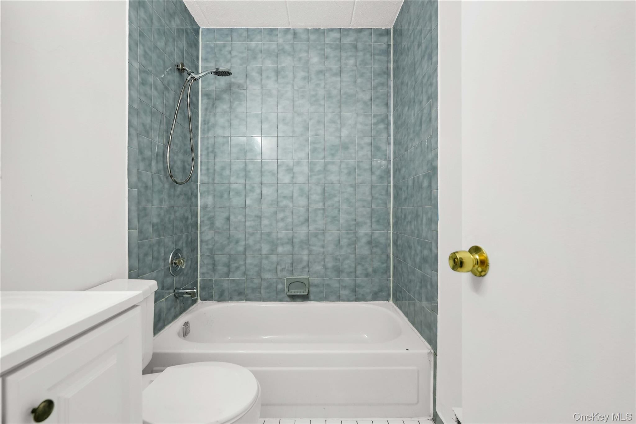 10810 Flatlands 9th Street 15e Property Photo 10