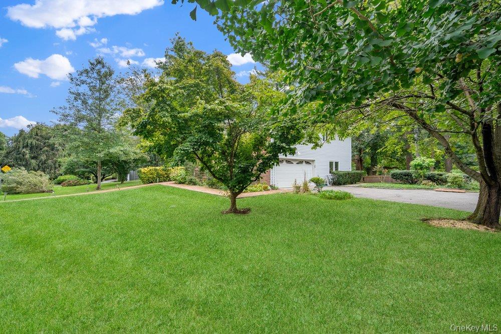 40 Pool Drive Property Photo 44