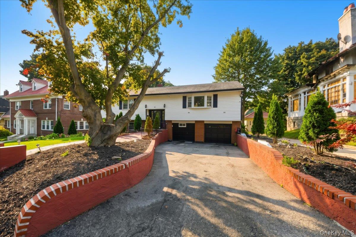 56 Forster Avenue Property Photo 3