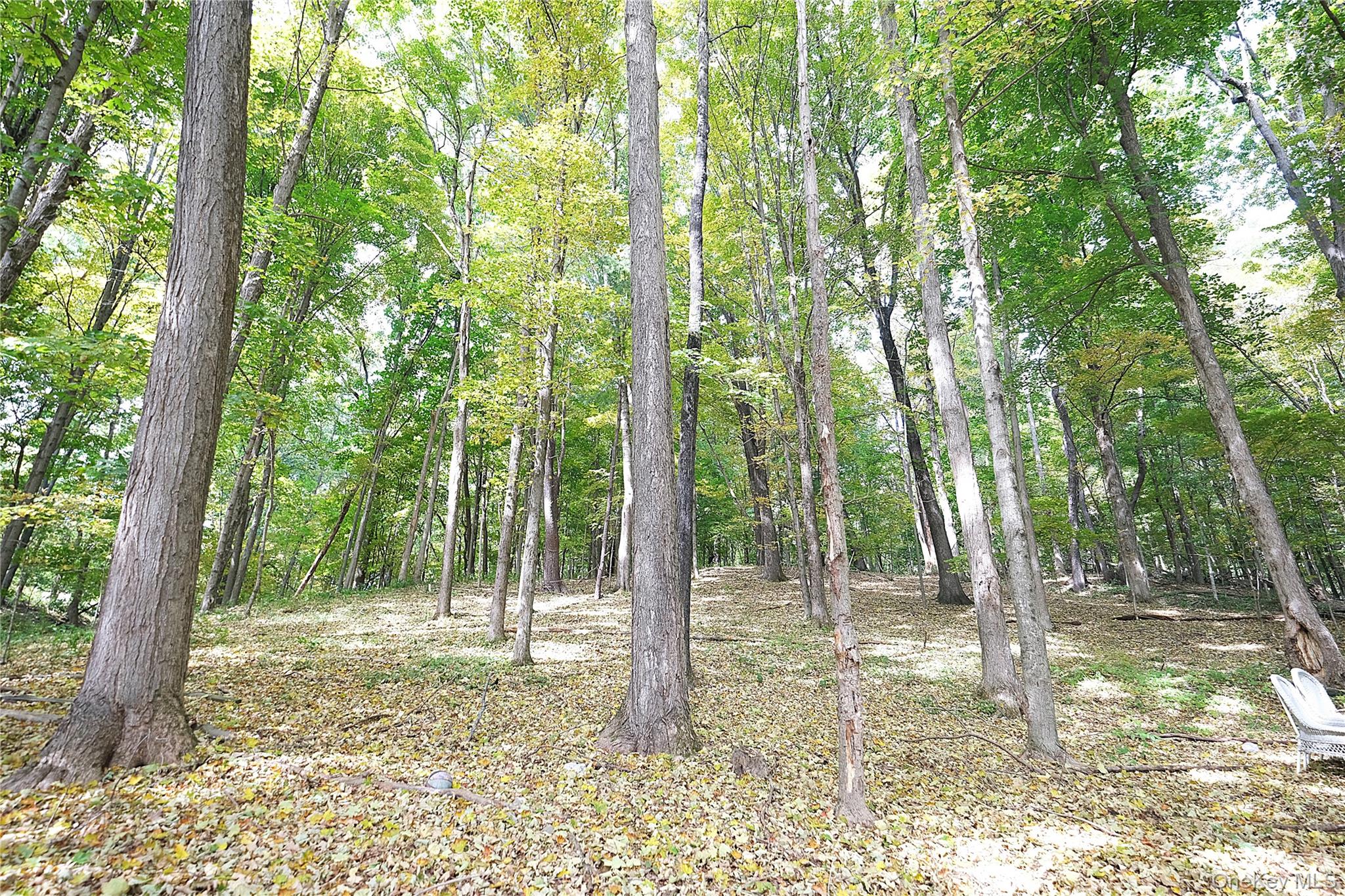 1391 County Route 7 Property Photo 17