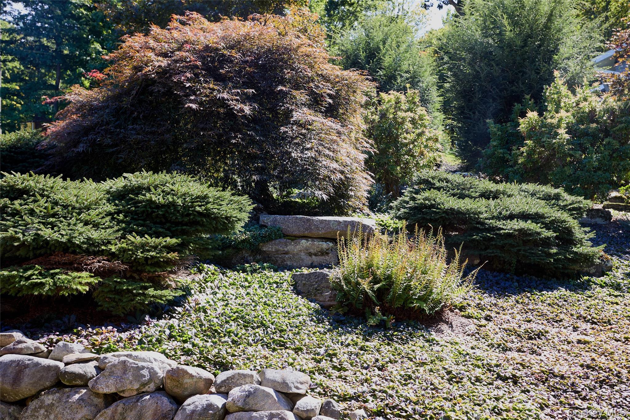 64 Clinton Road Property Photo 4