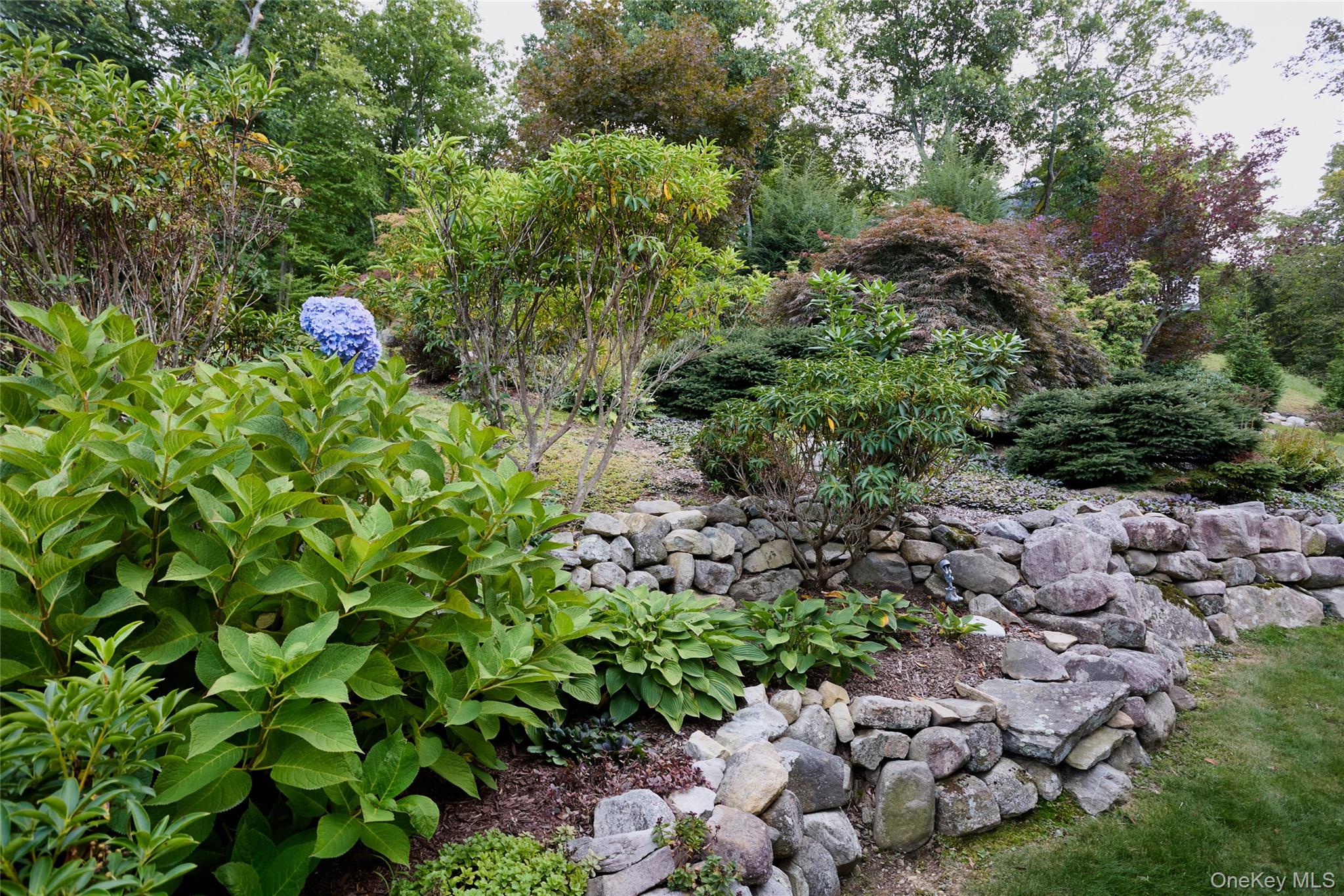64 Clinton Road Property Photo 40