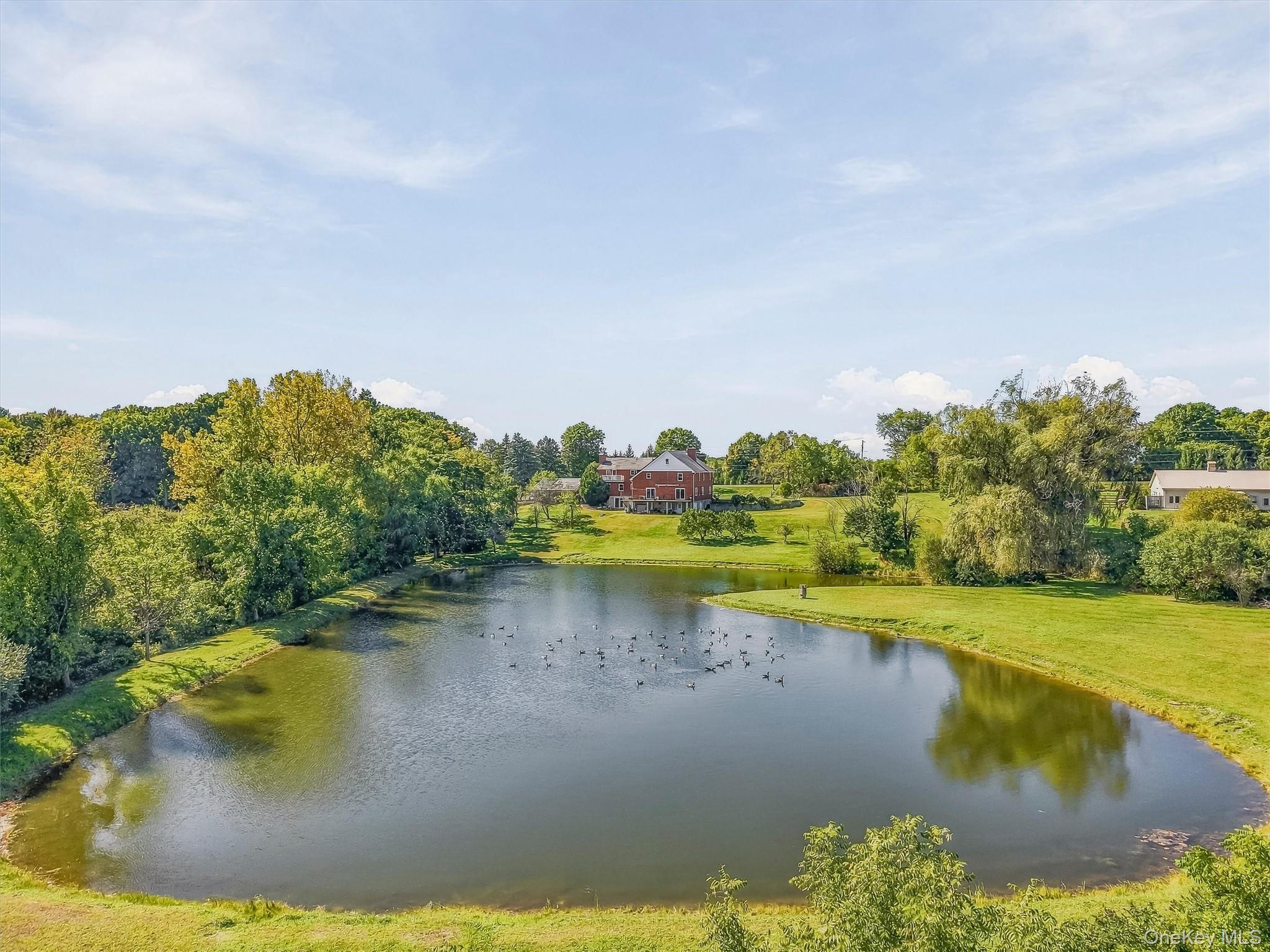 3534 Route 82 Property Photo 1