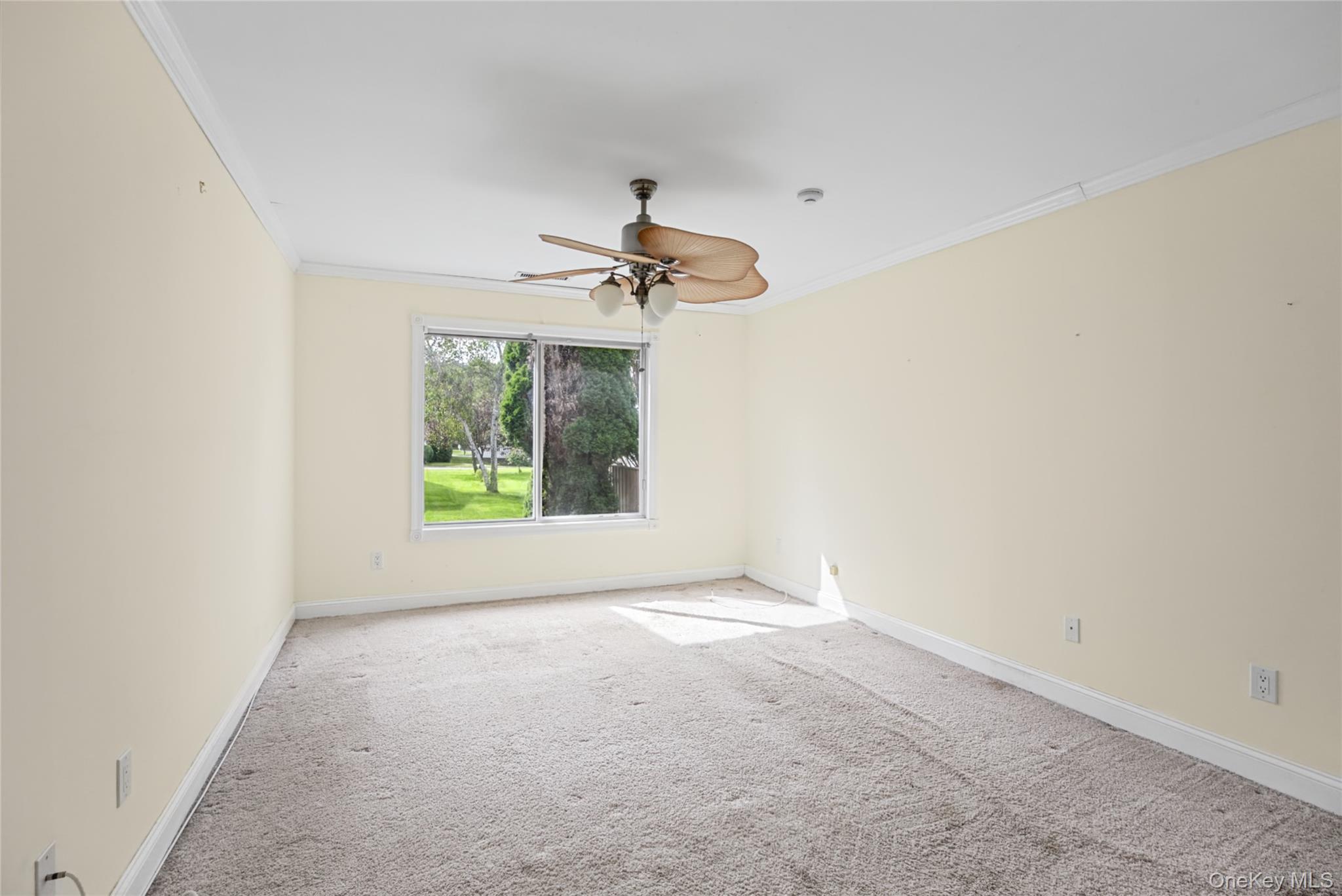 65 Eric Drive Property Photo 22