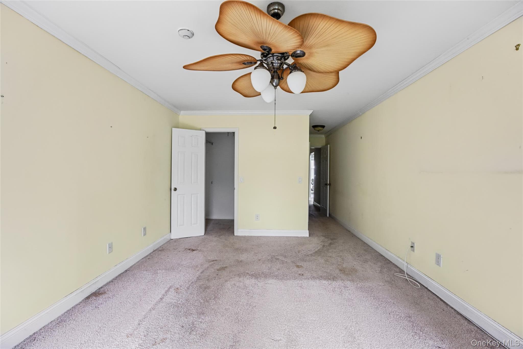 65 Eric Drive Property Photo 23