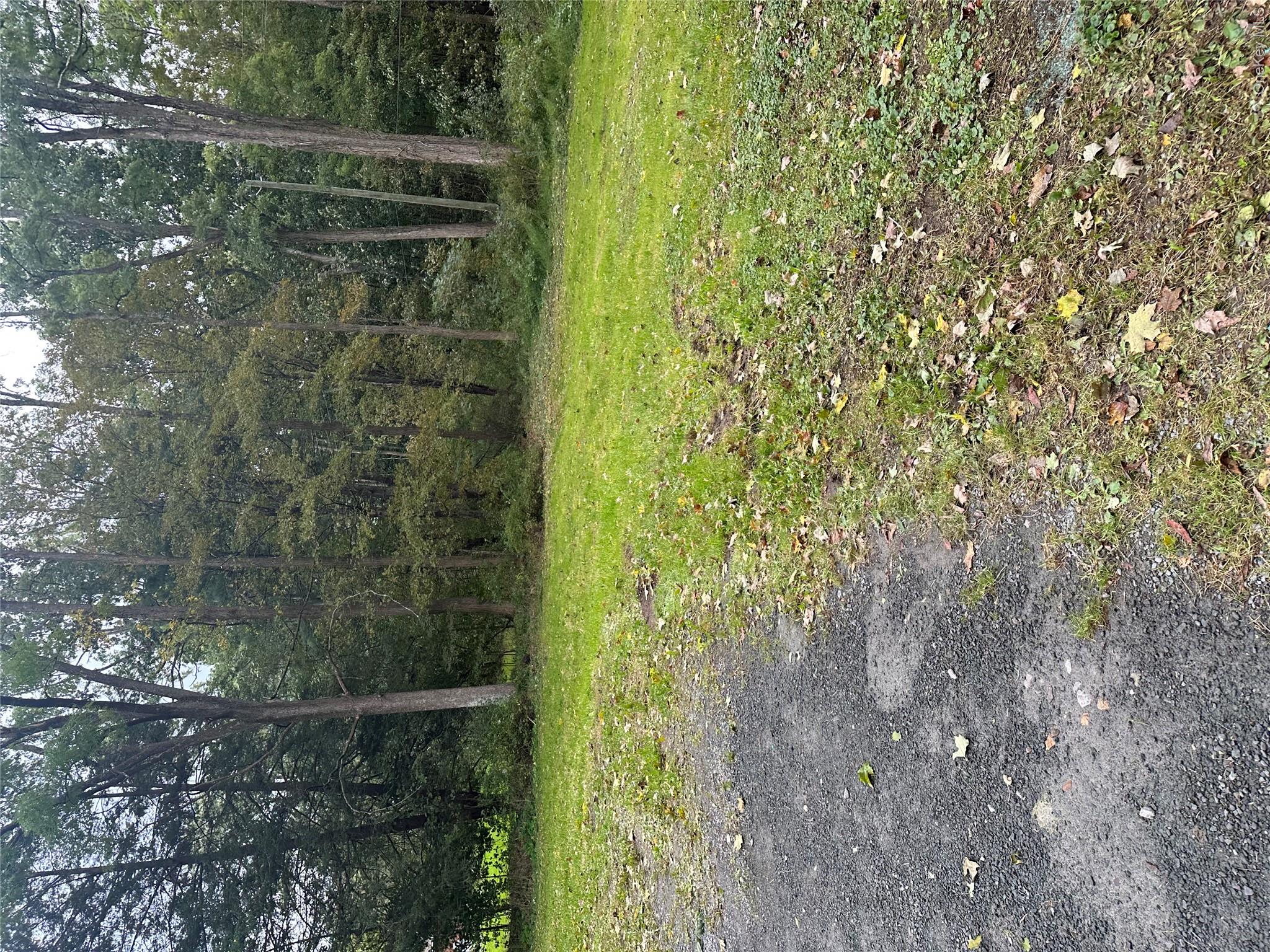 23 Mccune Place Property Photo 3