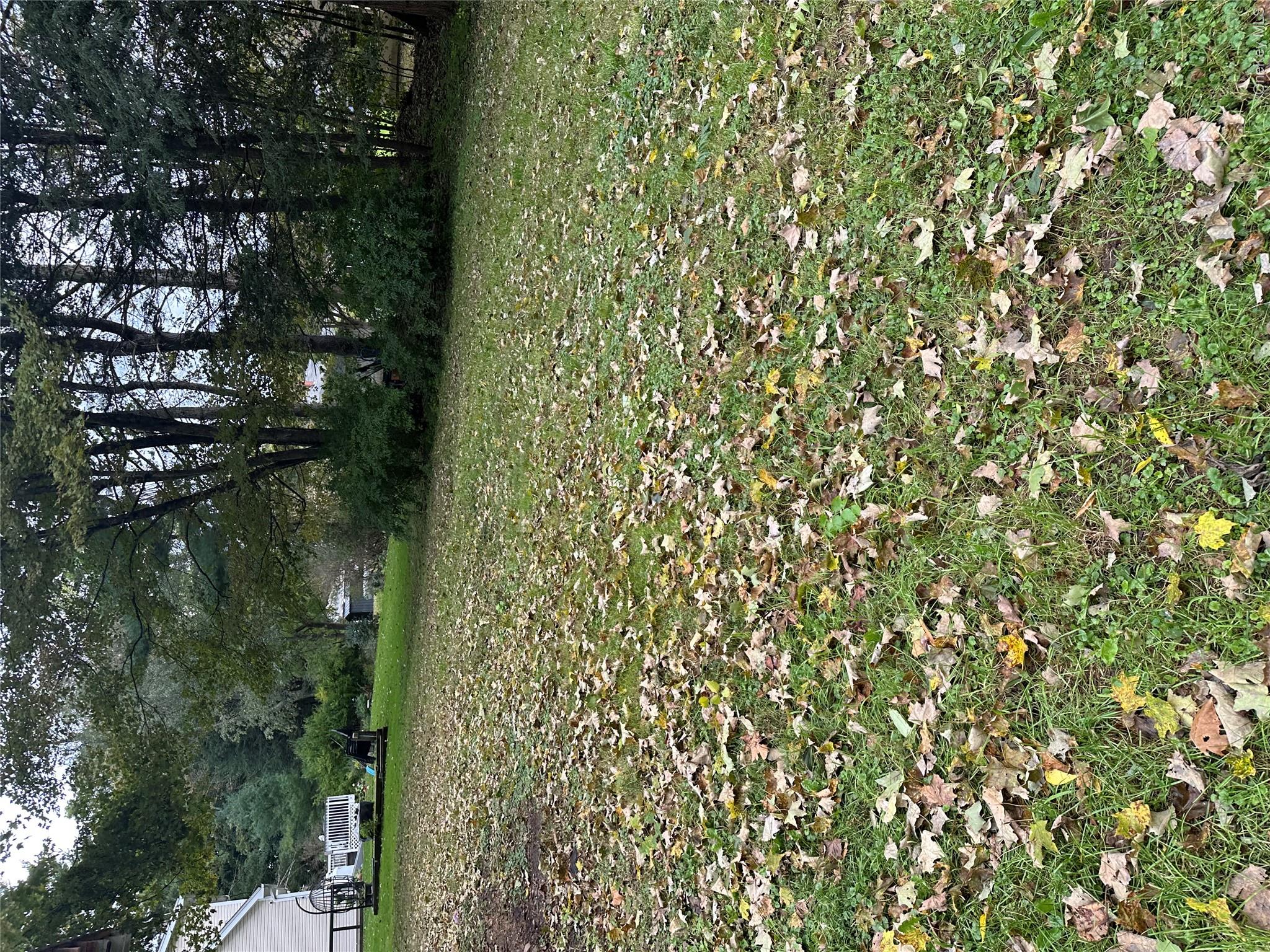 23 Mccune Place Property Photo 5