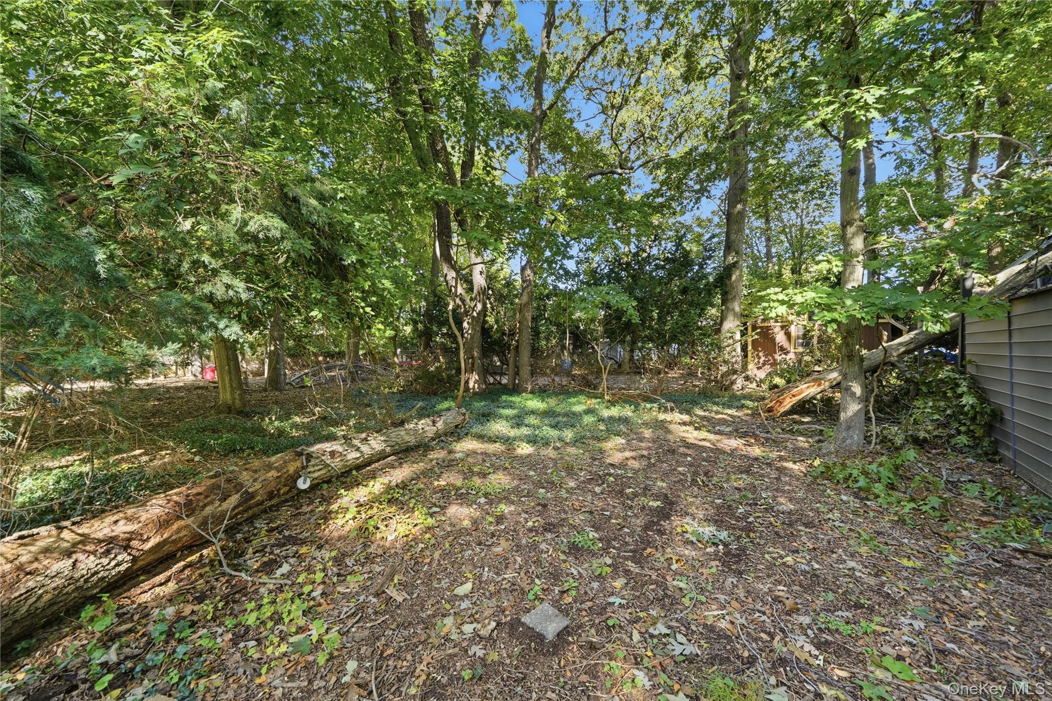 31 Woodland Drive Property Photo 30