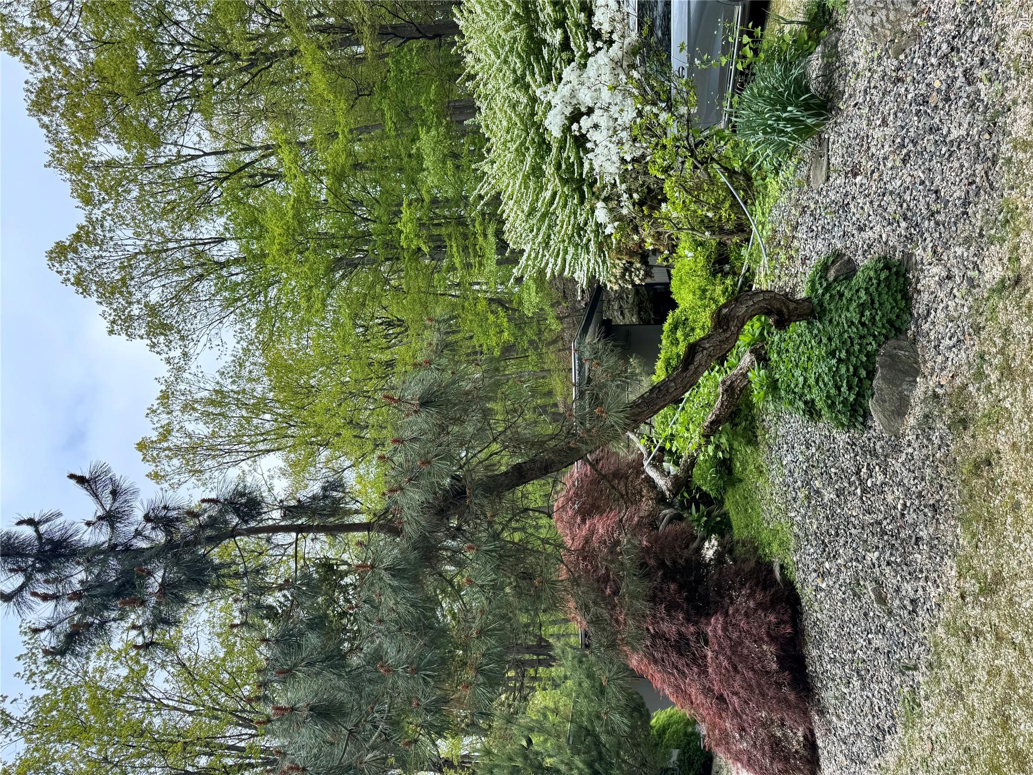 301 Roaring Brook Road Property Photo 3