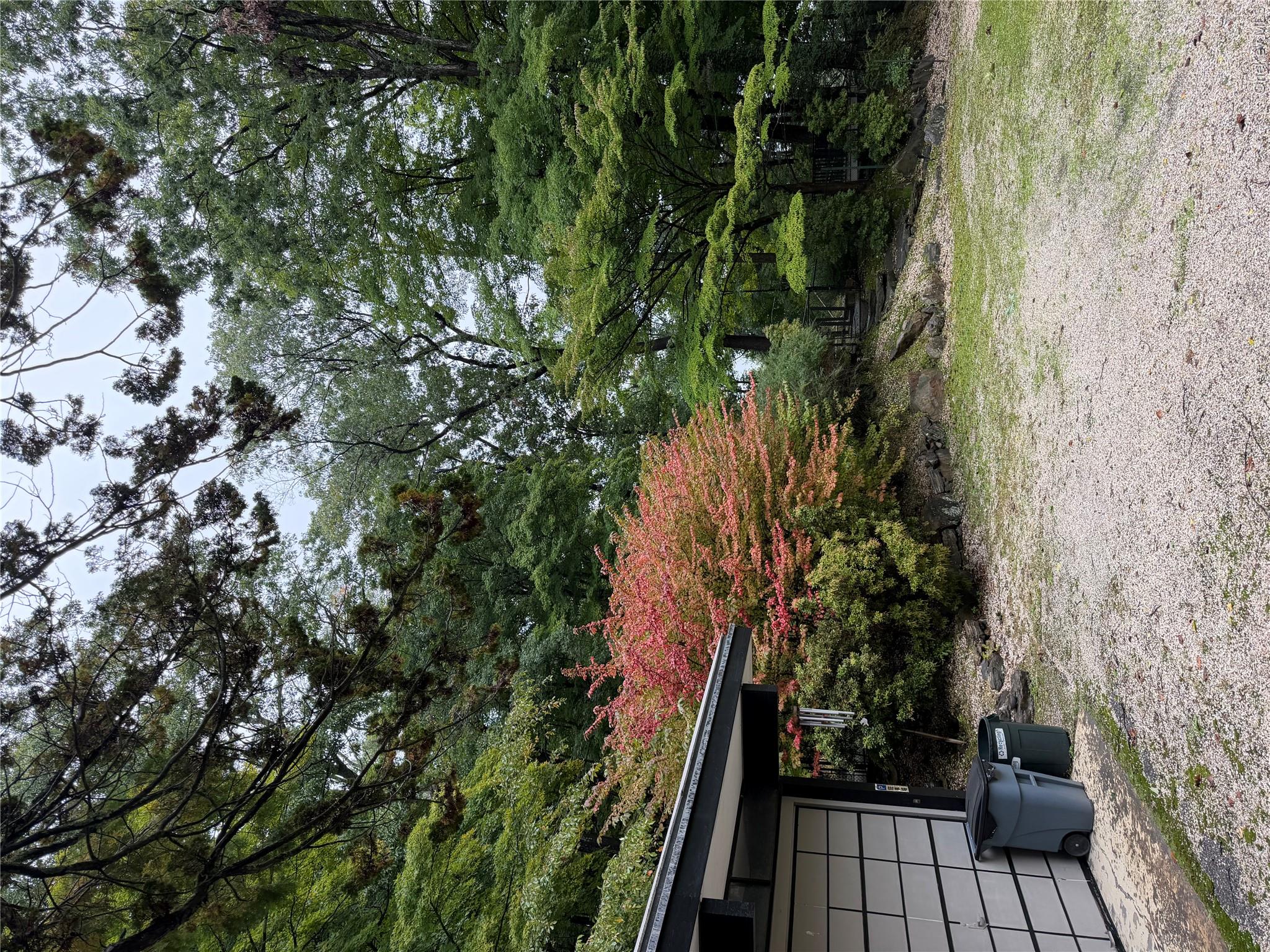 301 Roaring Brook Road Property Photo 10