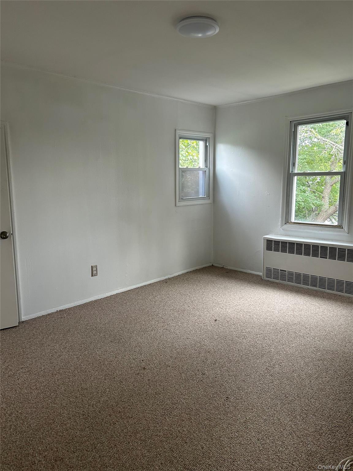 1569 4th Street Property Photo 5