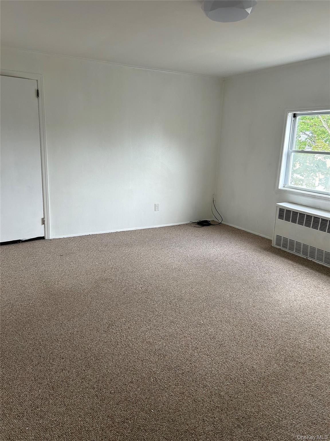 1569 4th Street Property Photo 6