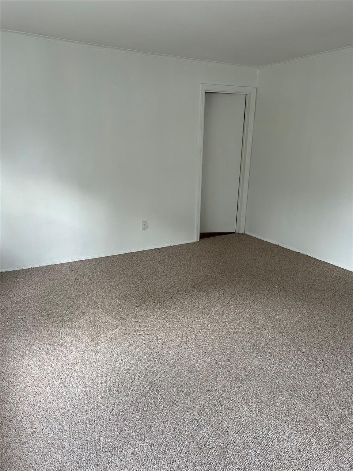 1569 4th Street Property Photo 7