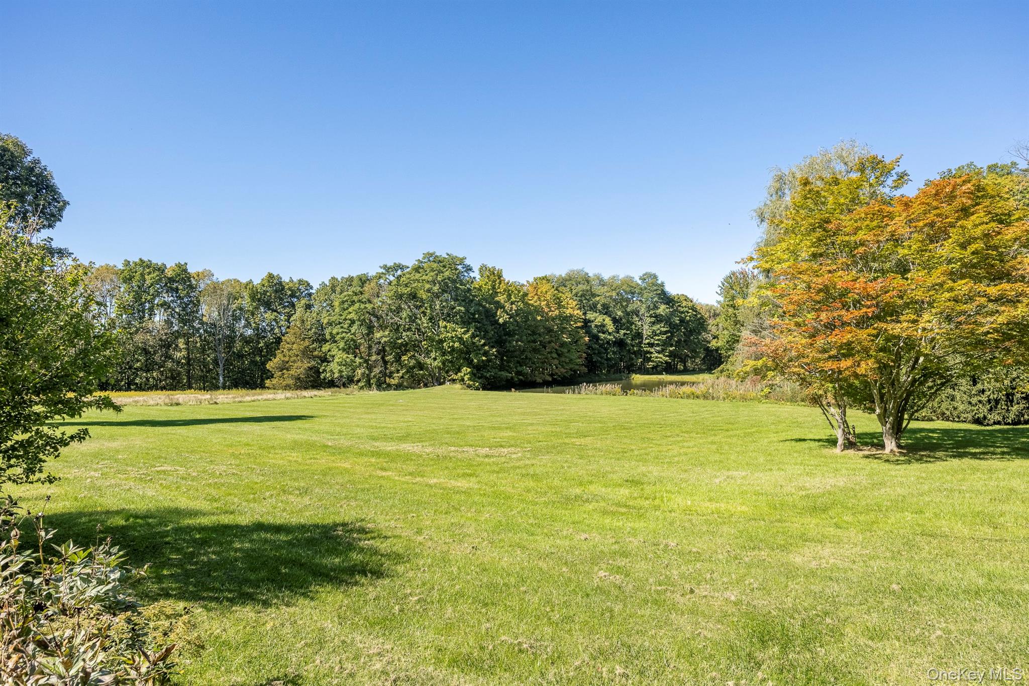 201 Masten Road Property Photo 4