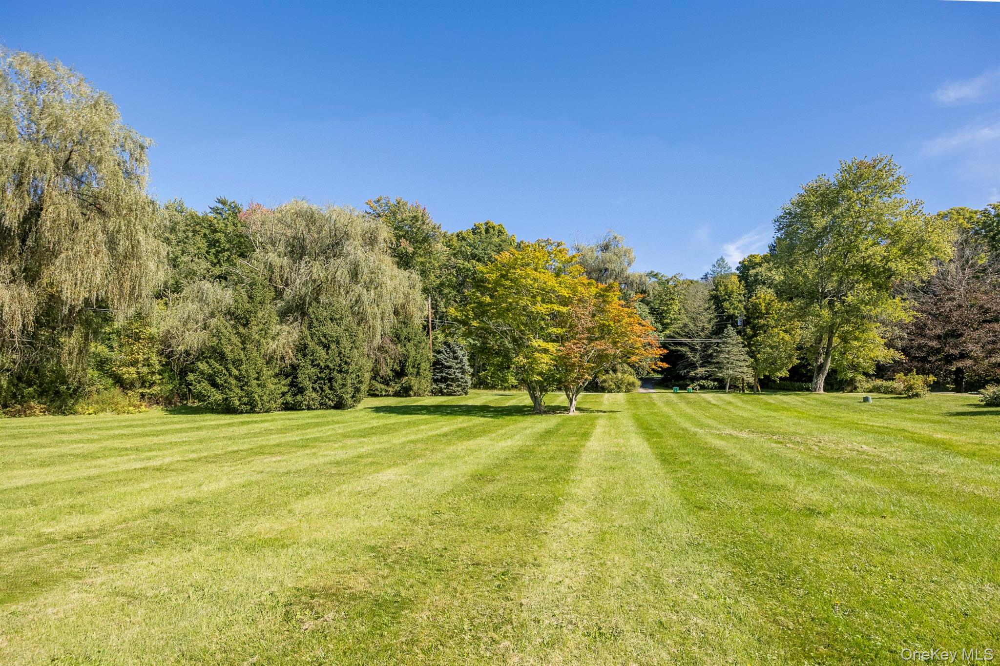 201 Masten Road Property Photo 32