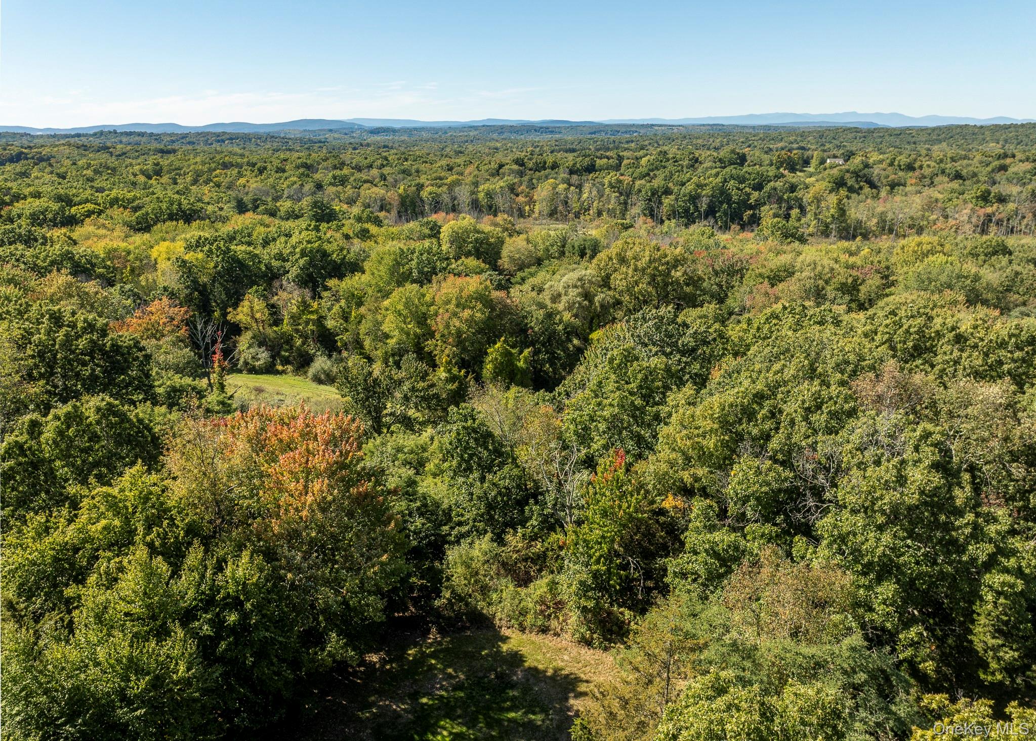 201 Masten Road Property Photo 33