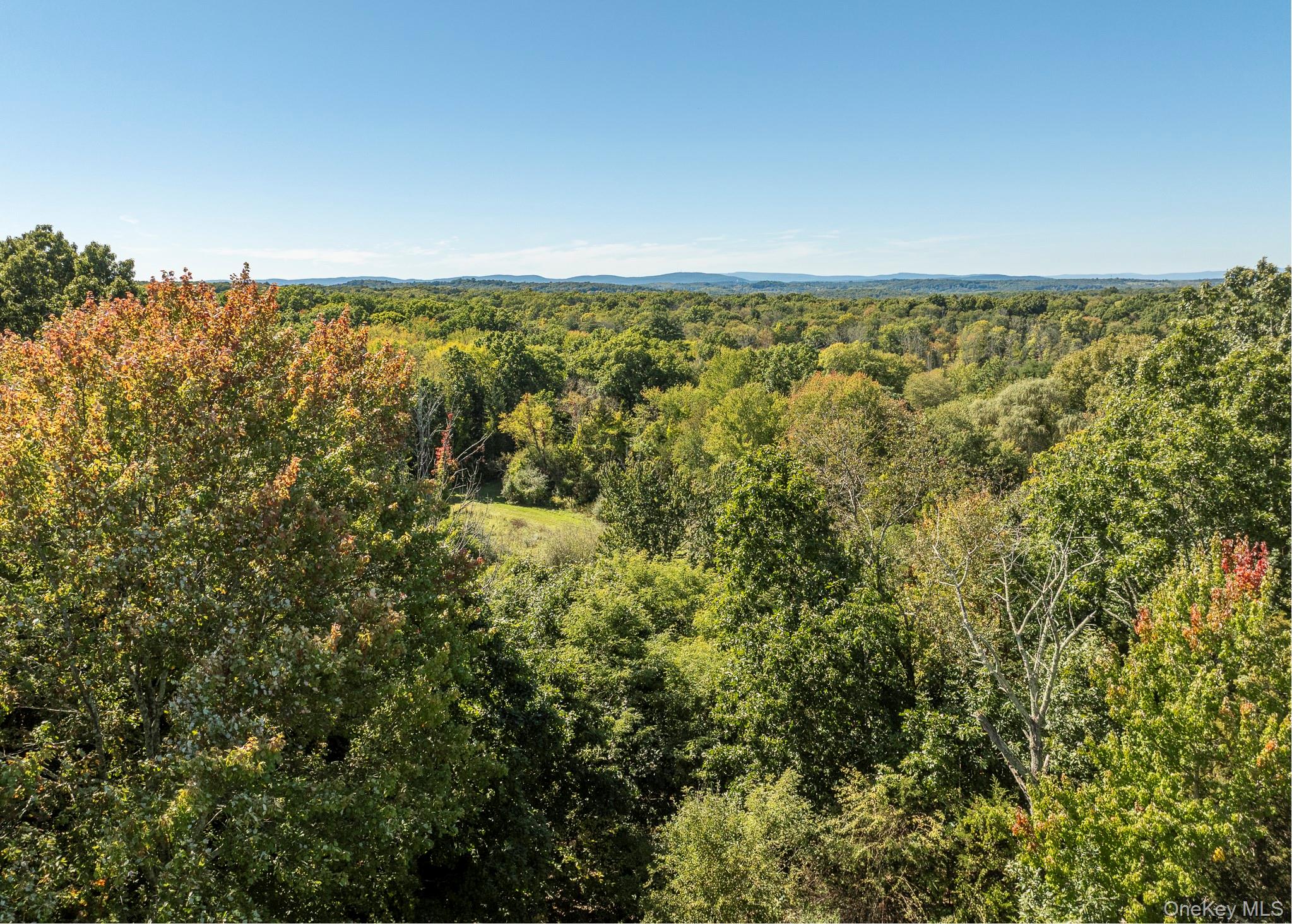 201 Masten Road Property Photo 34