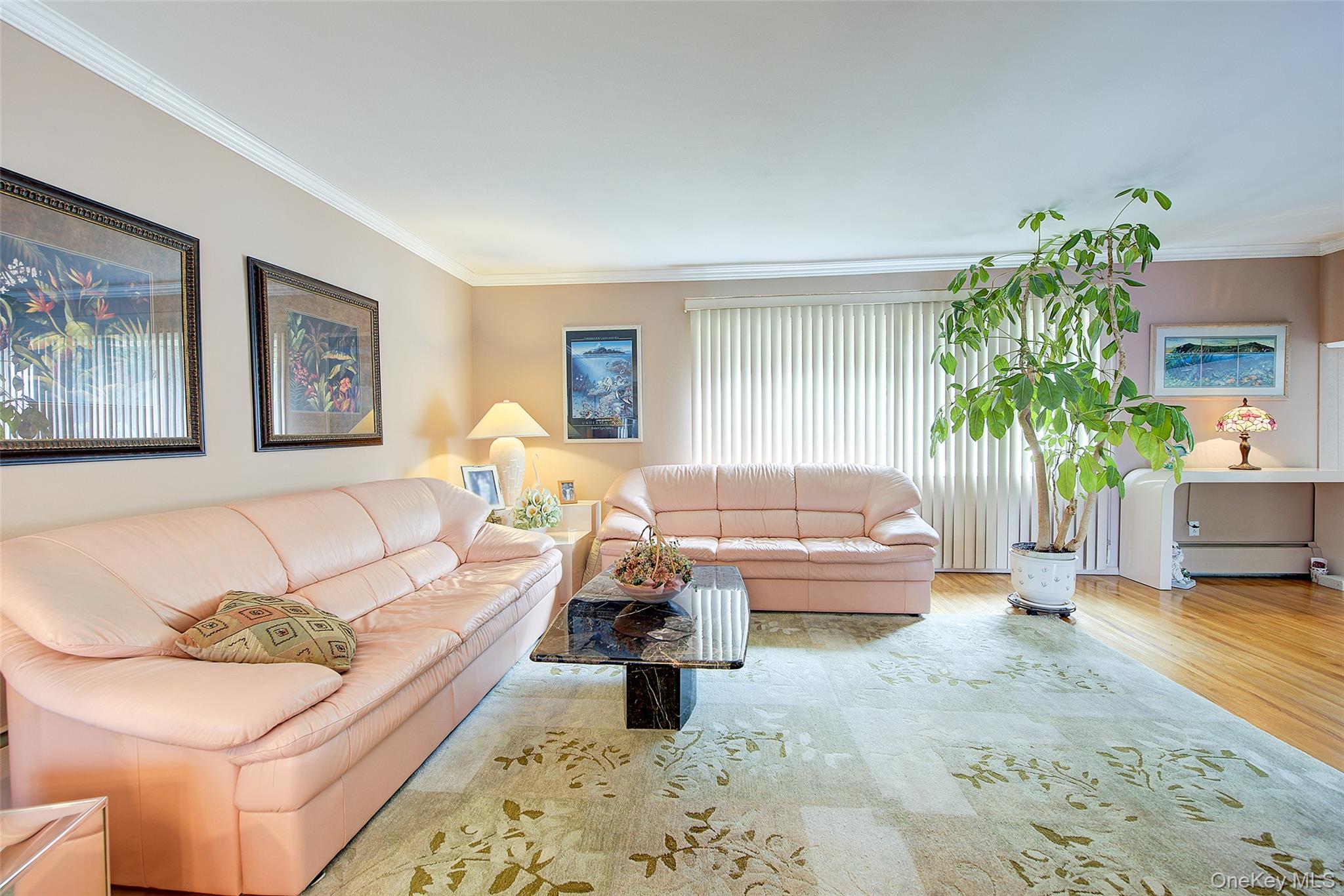 133 Kings Highway Property Photo 8