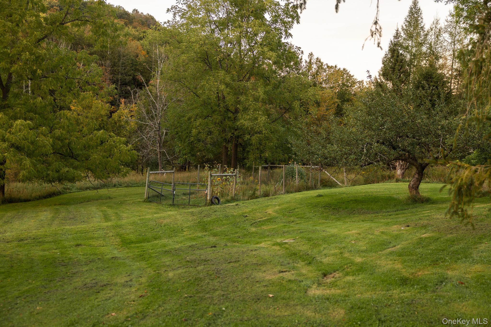 235 Hankins Property Photo 30