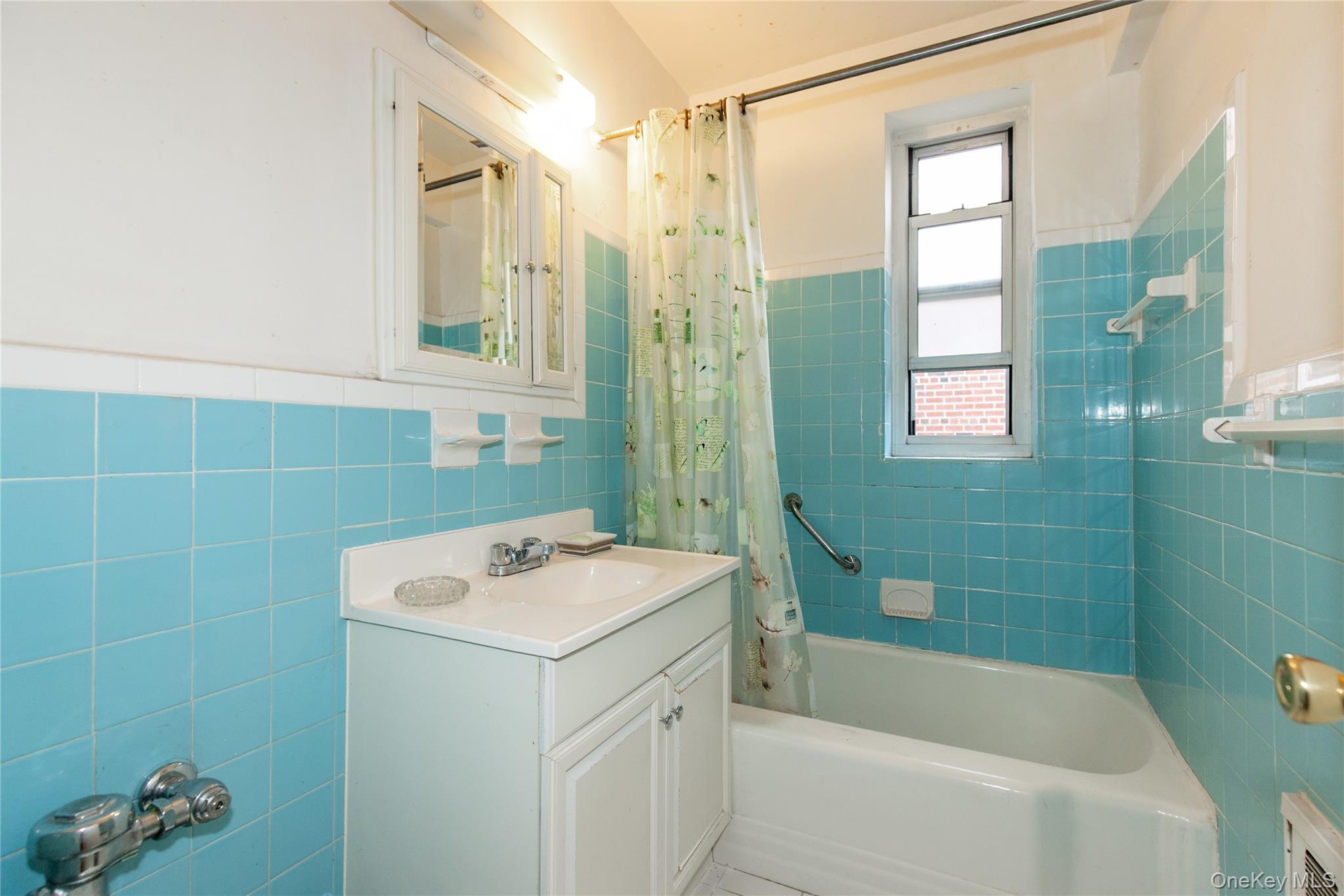 75 S Middle Neck 4-a Property Photo 13