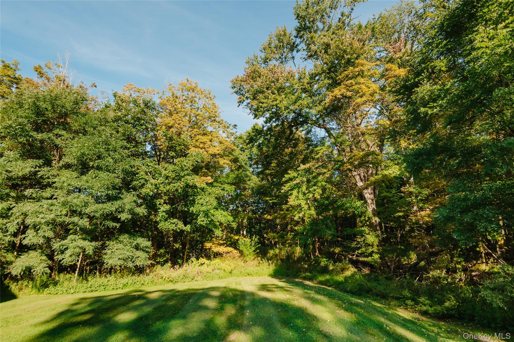 303 Old Stage Road Property Photo 17