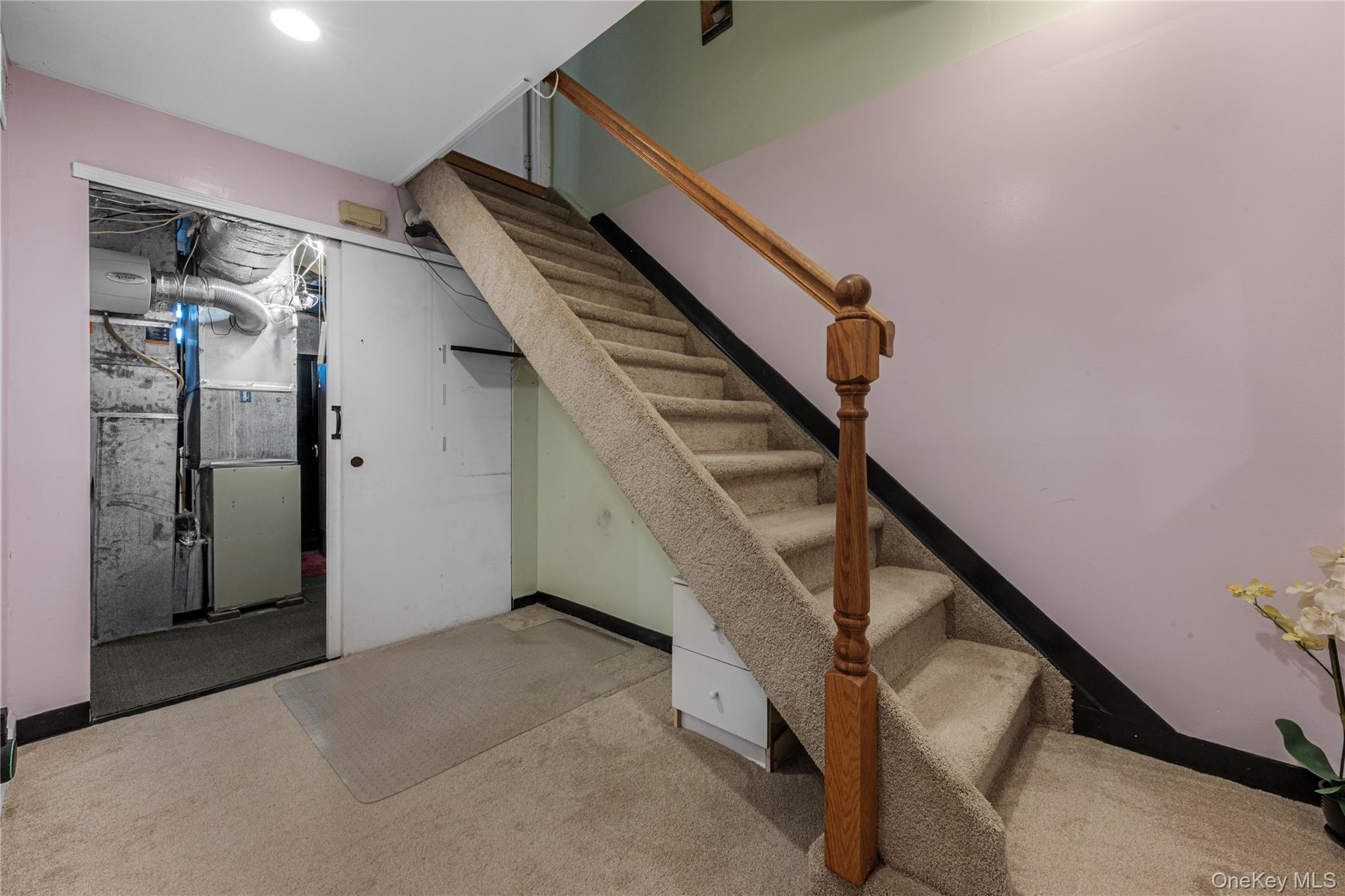 39 Elm Street Property Photo 18