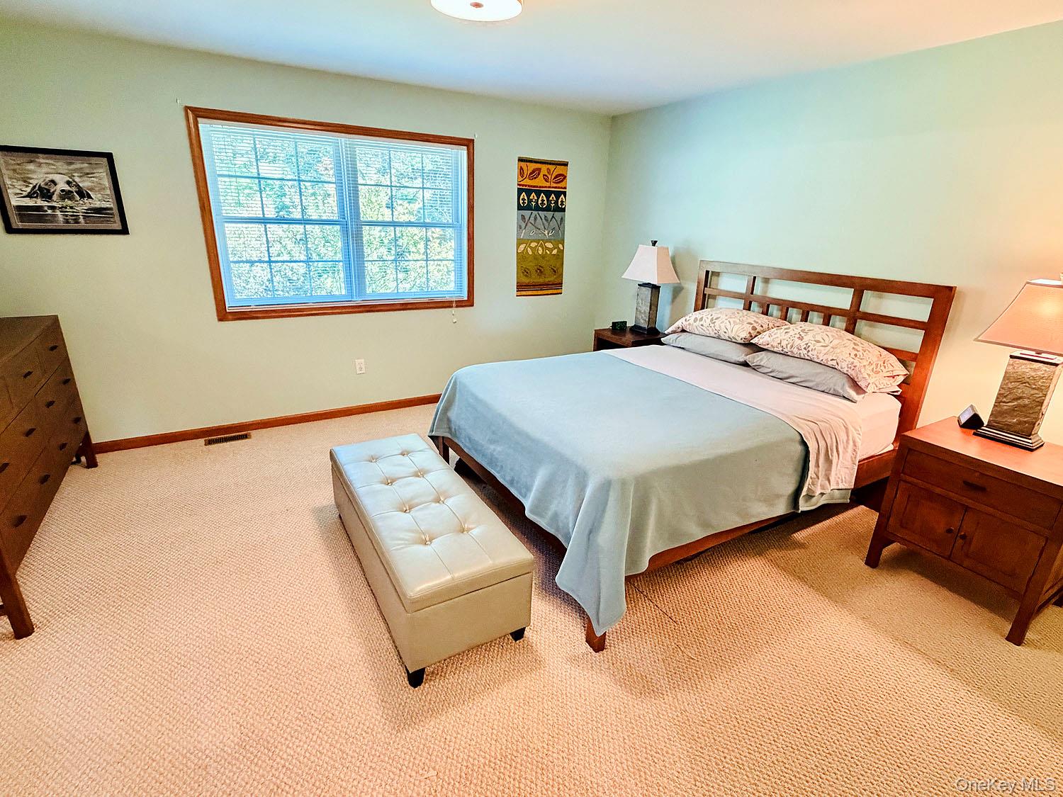 43 Schuman Road Property Photo 17