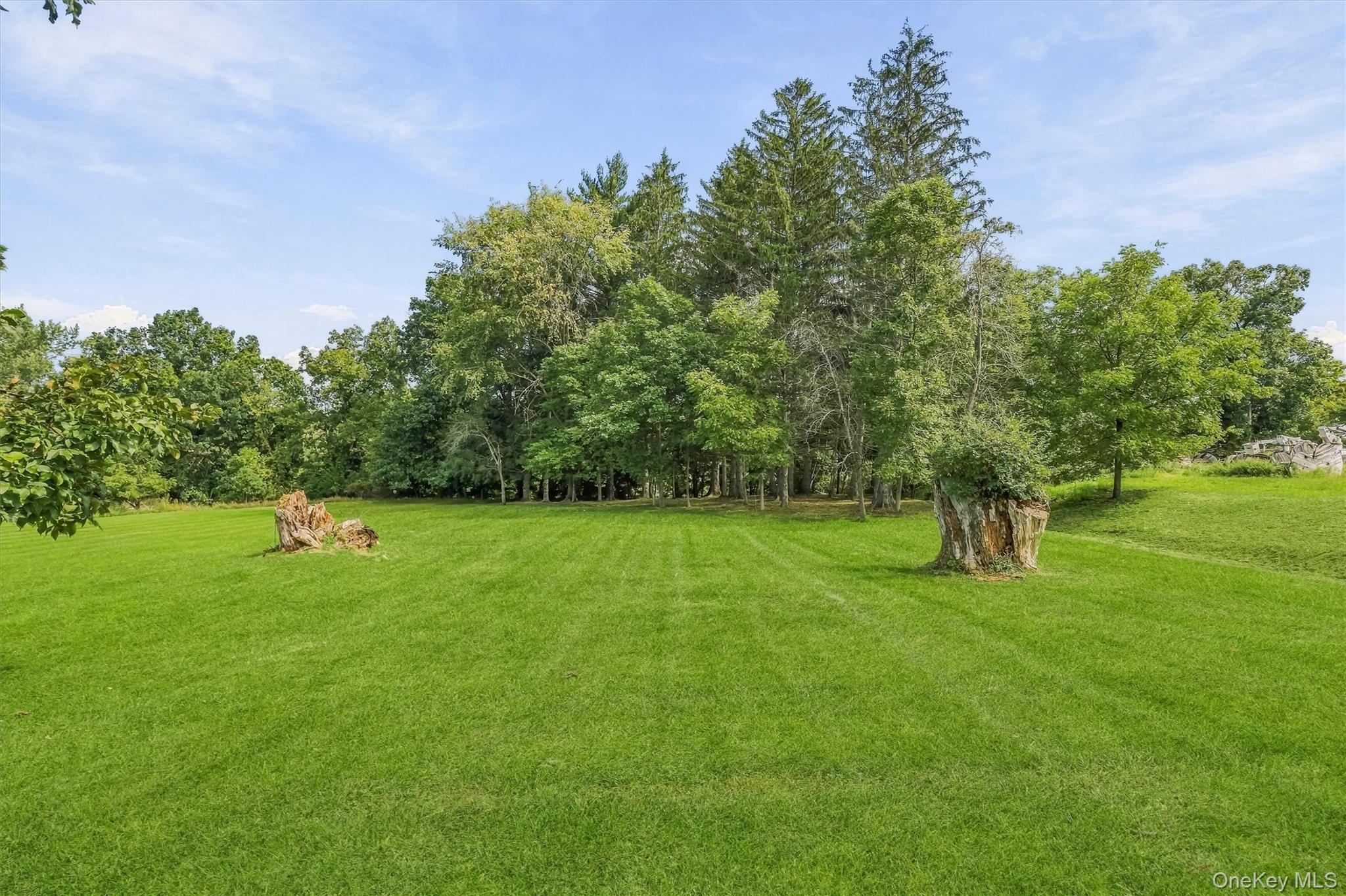 112 Lippincott Road Property Photo 40
