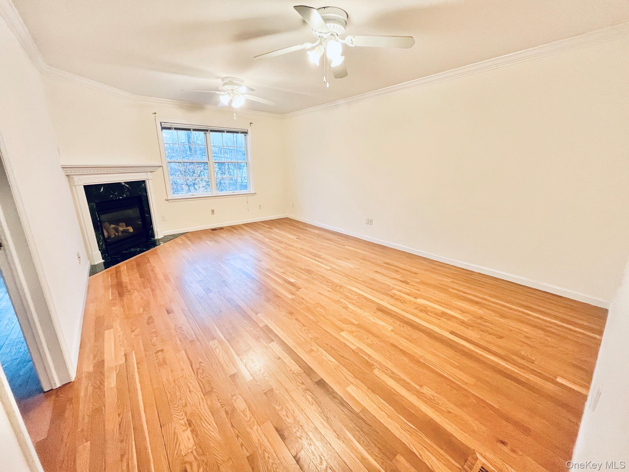 153 Montgomery Avenue B Property Photo 5