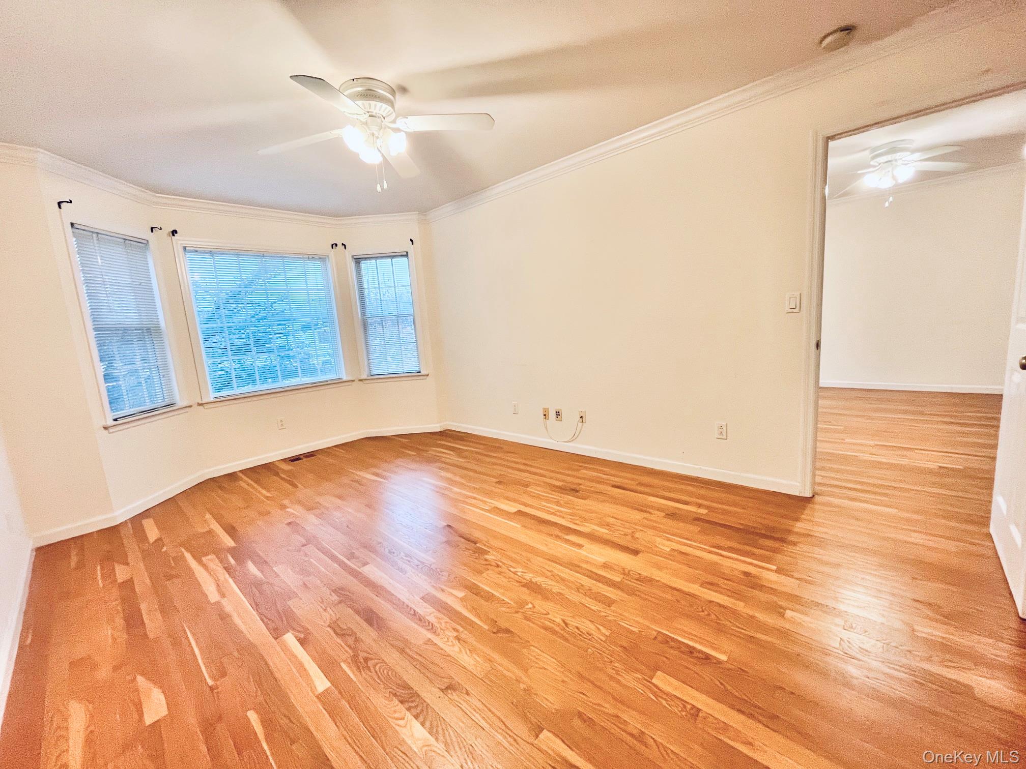 153 Montgomery Avenue B Property Photo 8