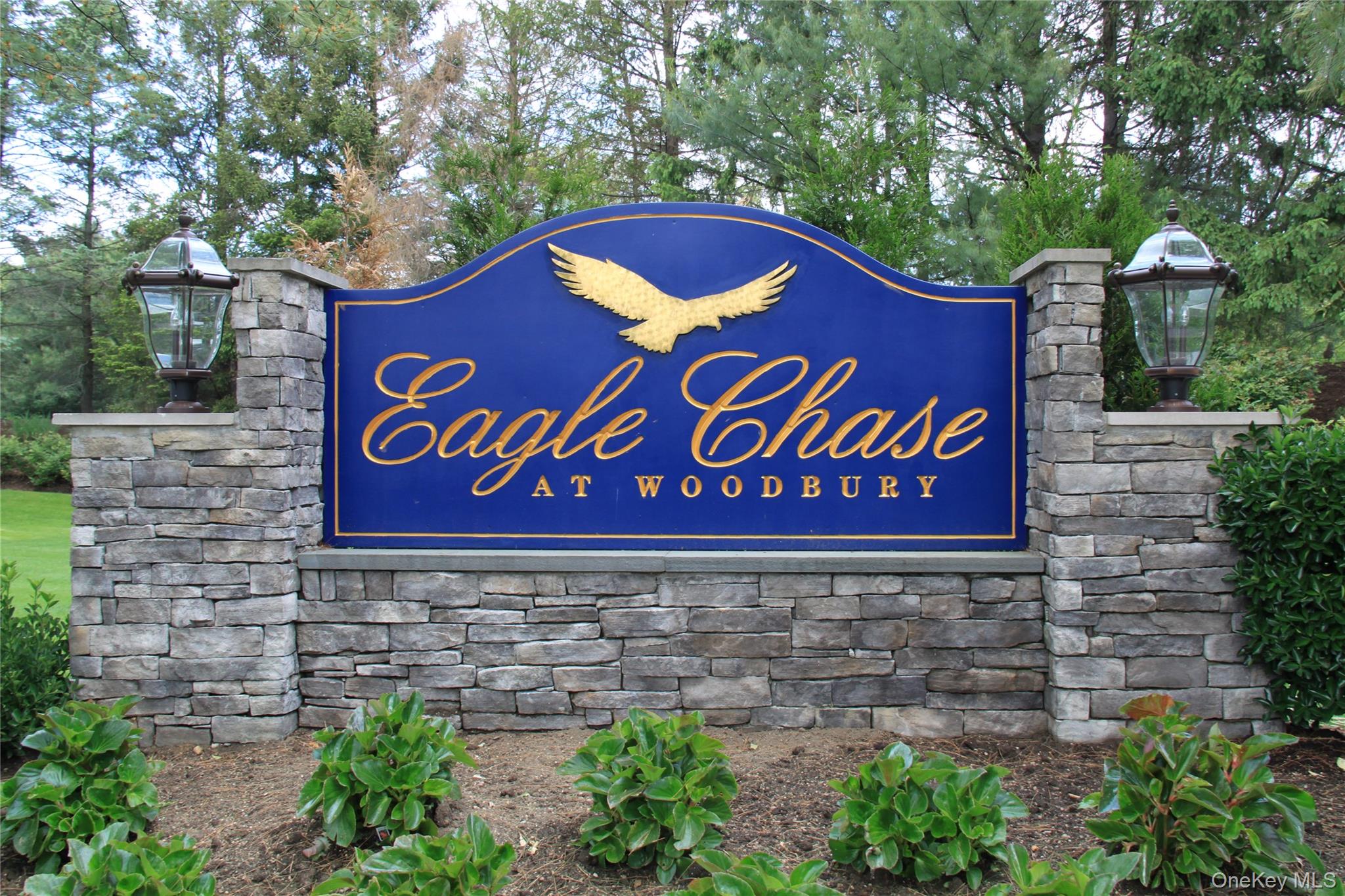 93 Eagle Chase Property Photo 35