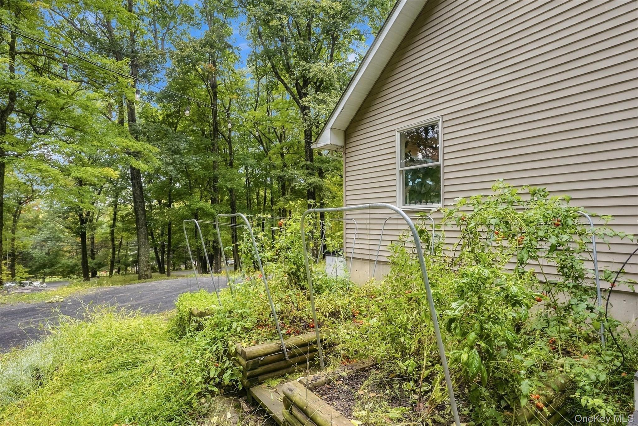 225 Hull Avenue Property Photo 28