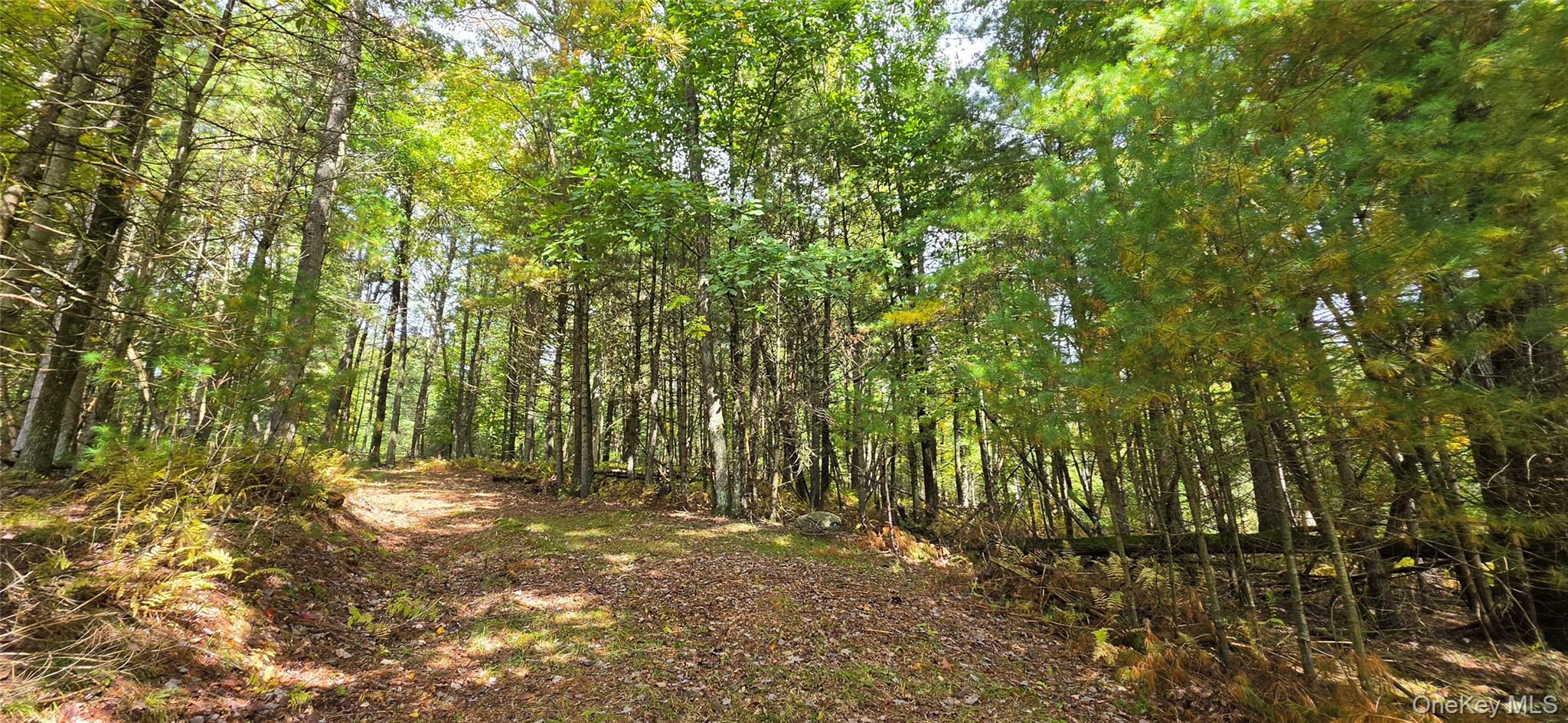 Lot 6.17 State Rt 97 Property Photo 1