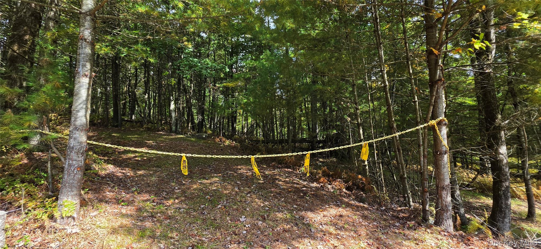 Lot 6.17 State Rt 97 Property Photo 4