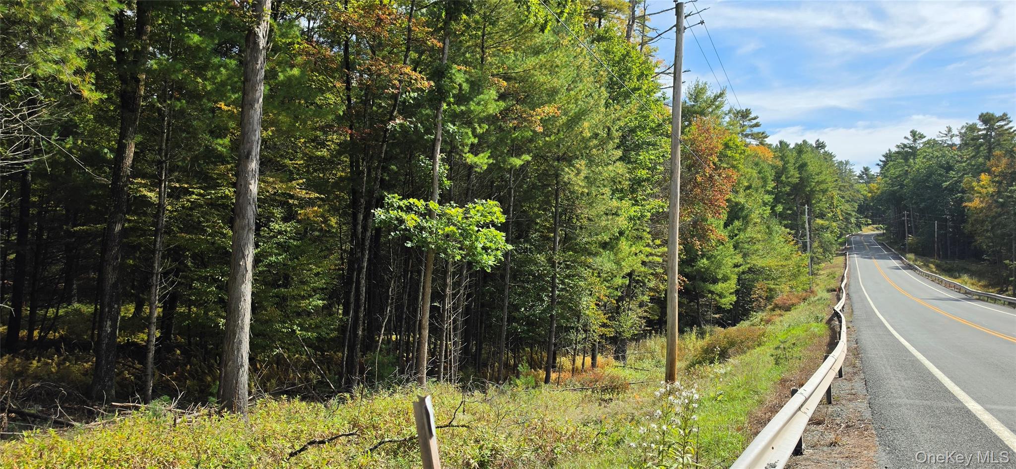 Lot 6.17 State Rt 97 Property Photo 5
