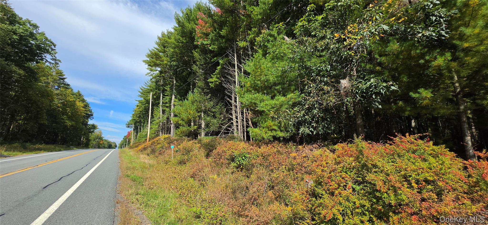 Lot 6.17 State Rt 97 Property Photo 6