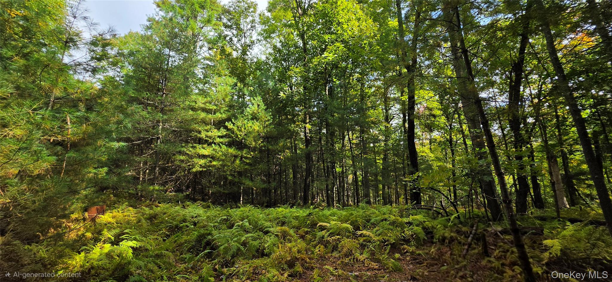 Lot 6.17 State Rt 97 Property Photo 12