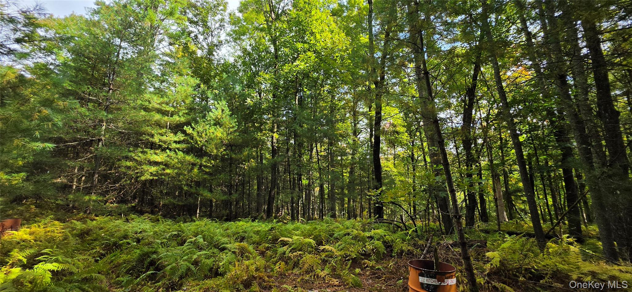 Lot 6.17 State Rt 97 Property Photo 13