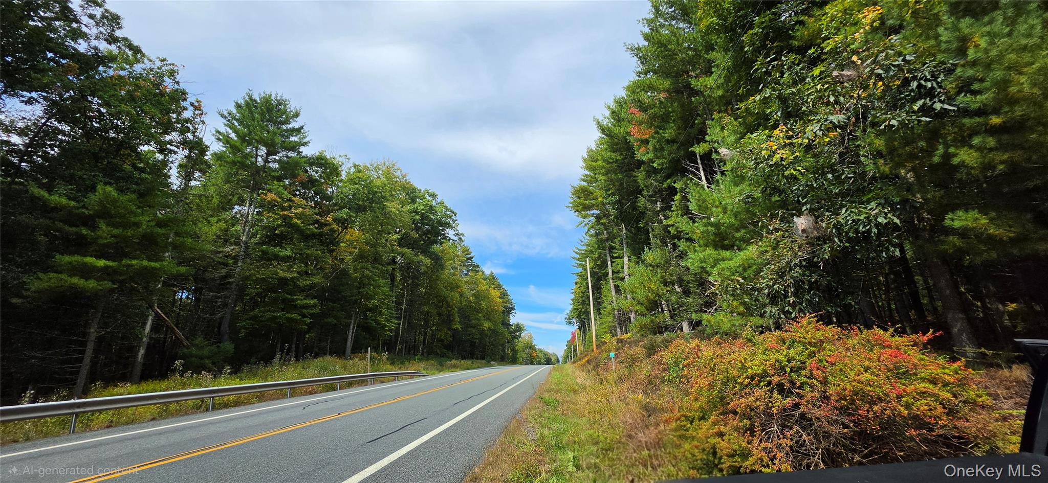 Lot 6.17 State Rt 97 Property Photo 15