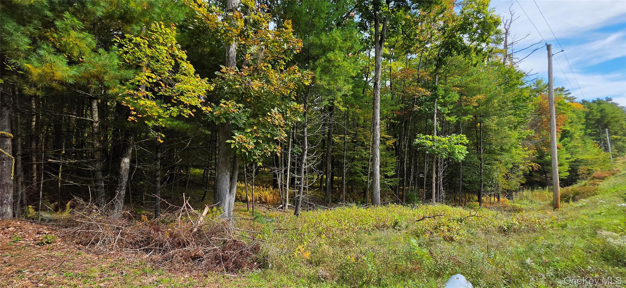 Lot 6.17 State Rt 97 Property Photo 16