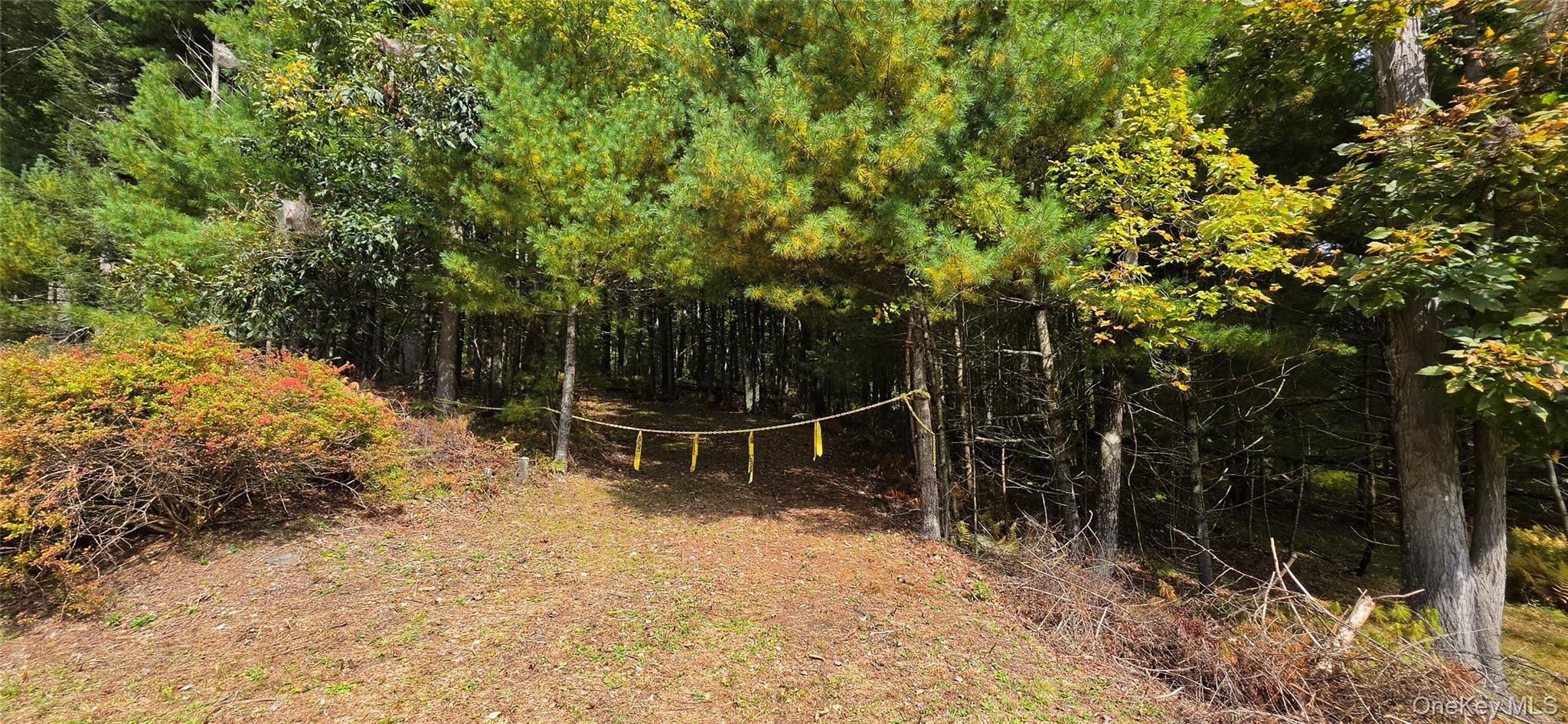 Lot 6.17 State Rt 97 Property Photo 17