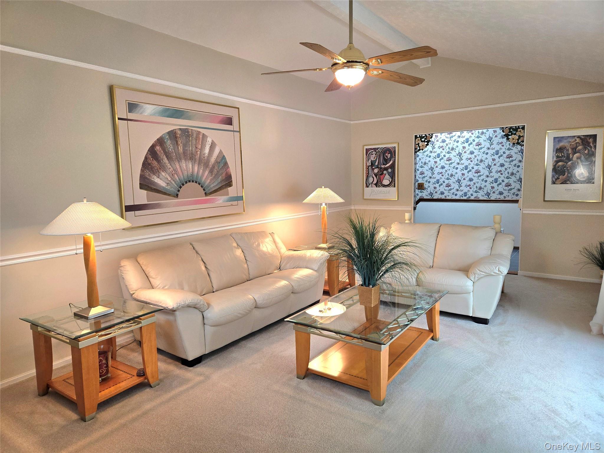 9 Milton Street Property Photo 8